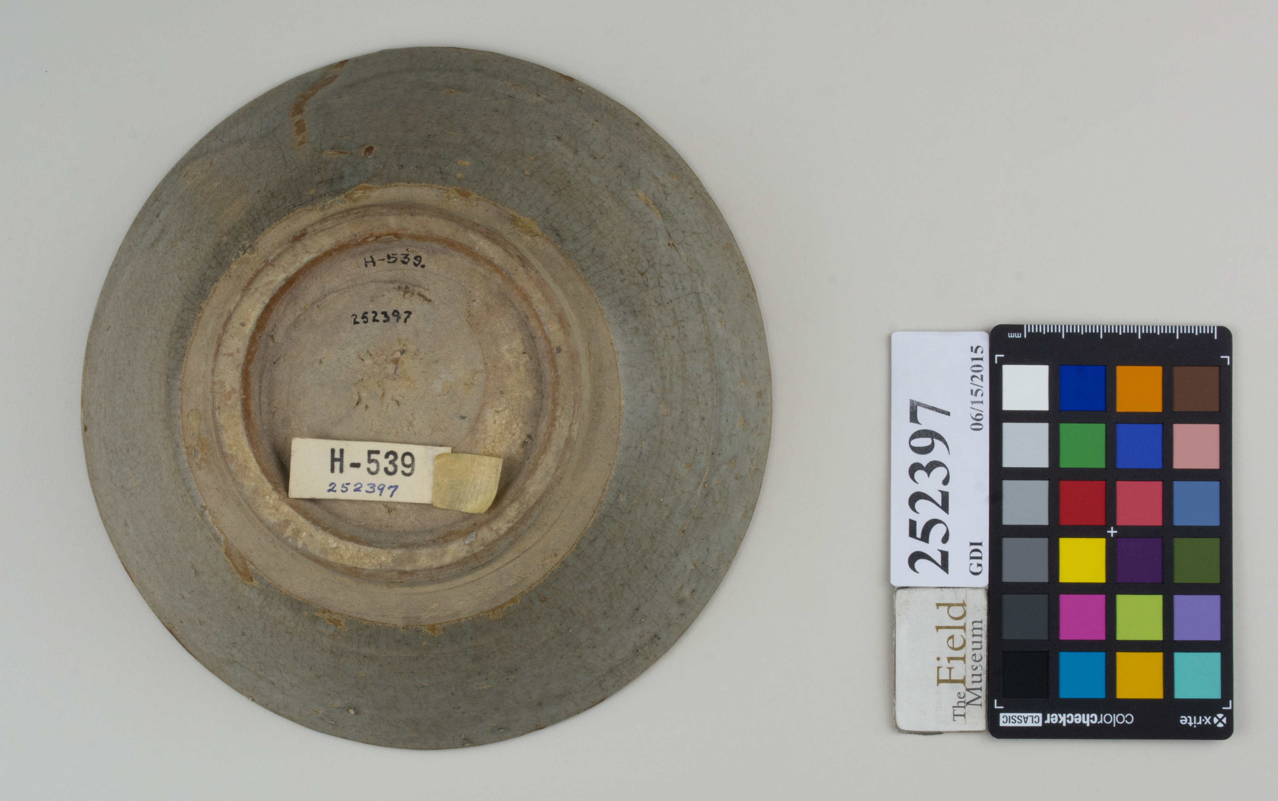 Bottom (c) Field Museum of Natural History - CC BY-NC 4.0