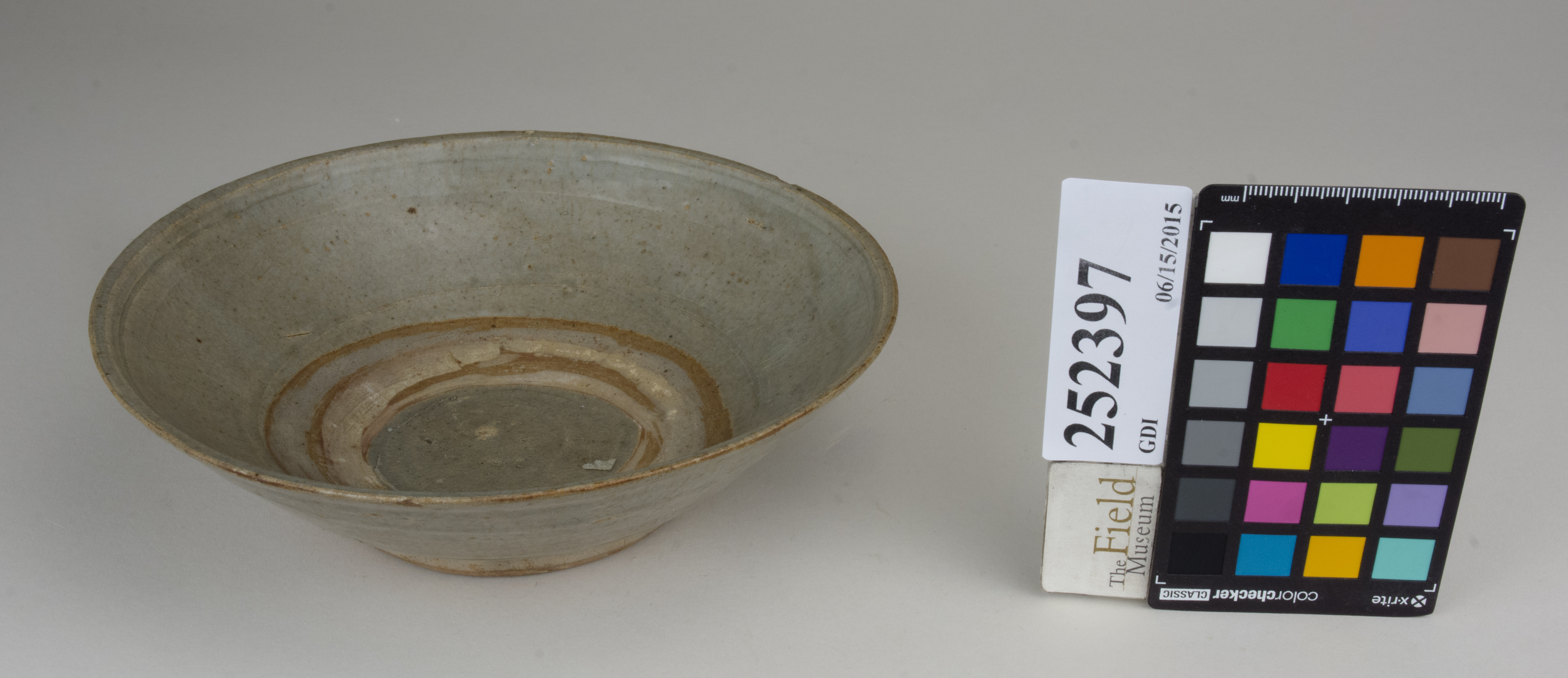 FrontAngle (c) Field Museum of Natural History - CC BY-NC 4.0