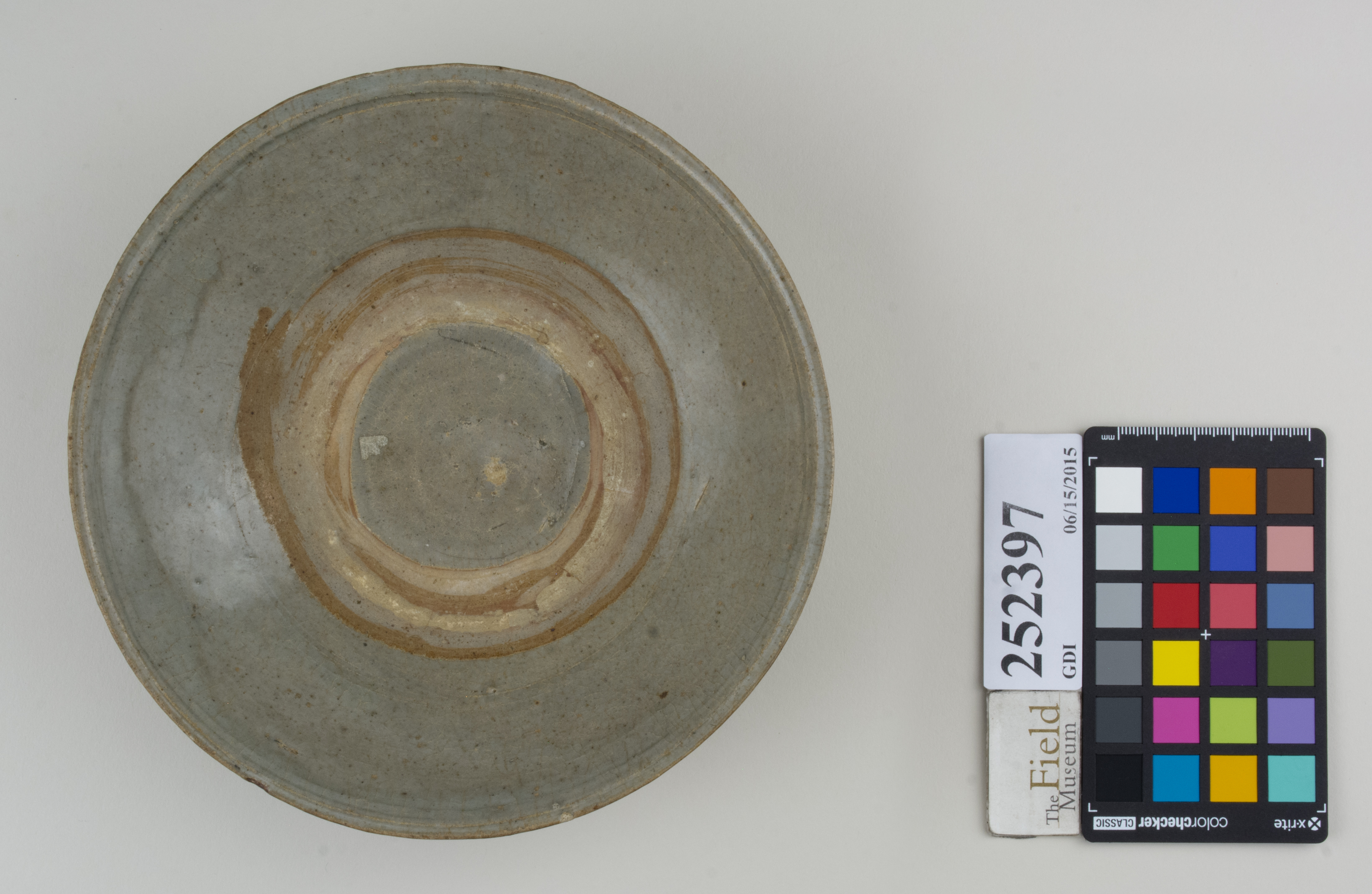 Top (c) Field Museum of Natural History - CC BY-NC 4.0