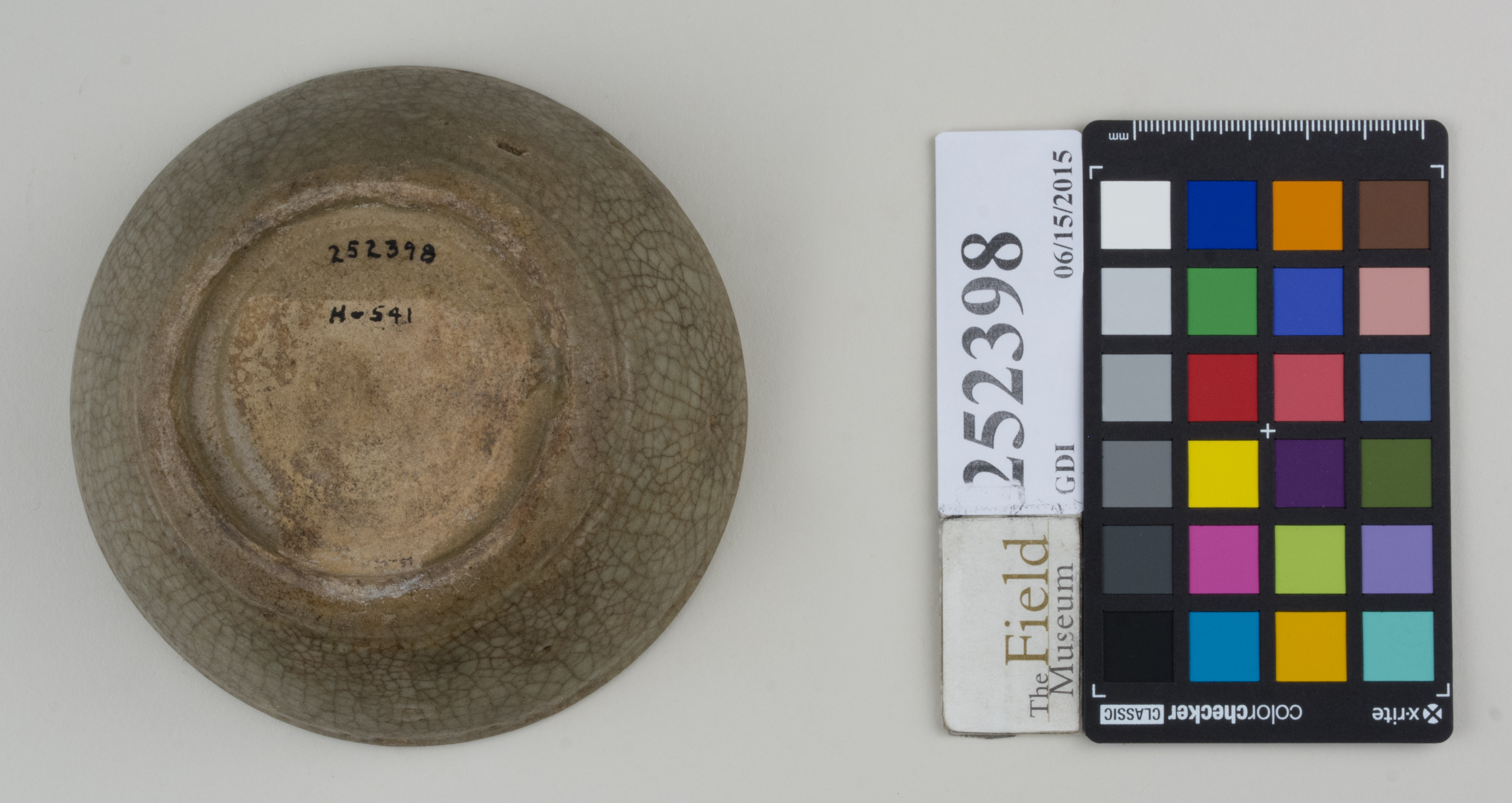 Bottom (c) Field Museum of Natural History - CC BY-NC 4.0