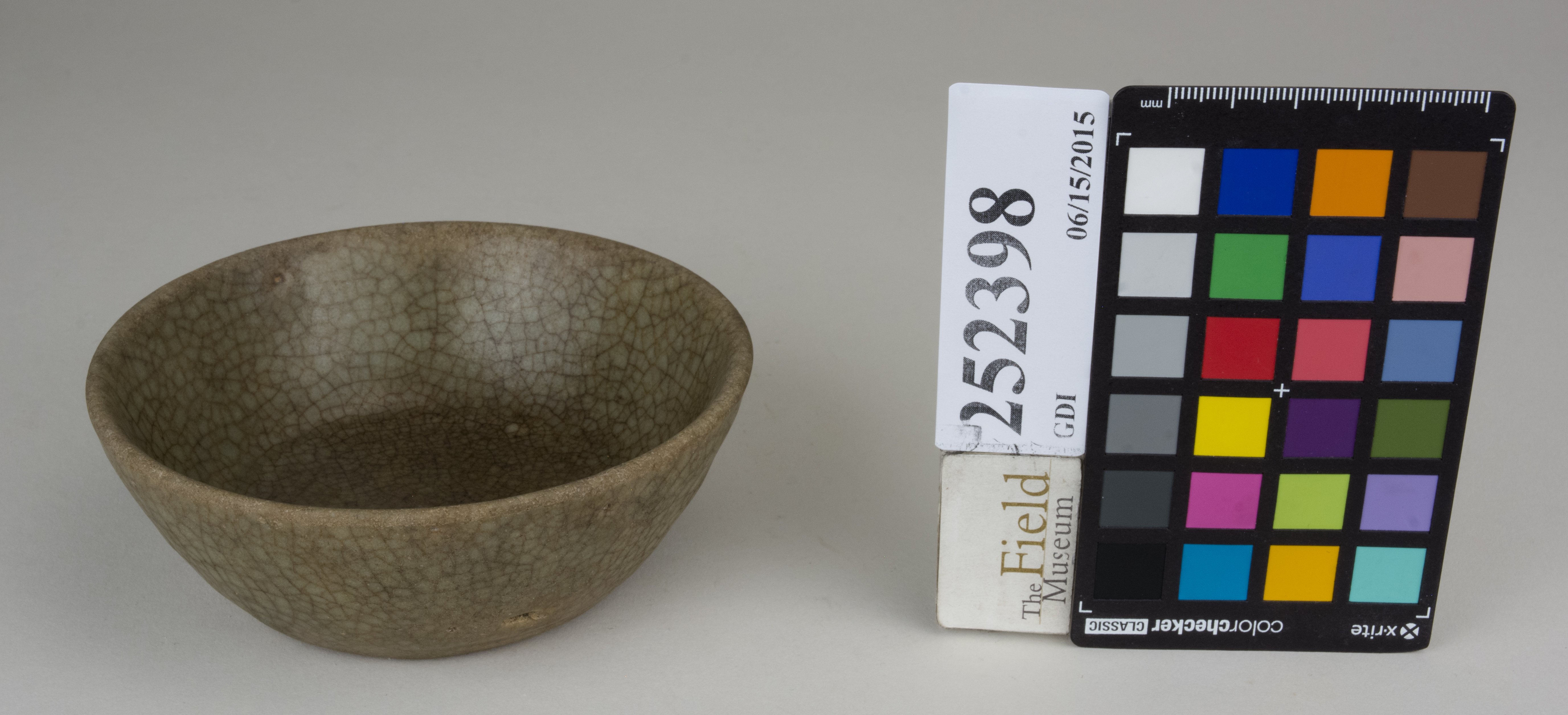 FrontAngle (c) Field Museum of Natural History - CC BY-NC 4.0