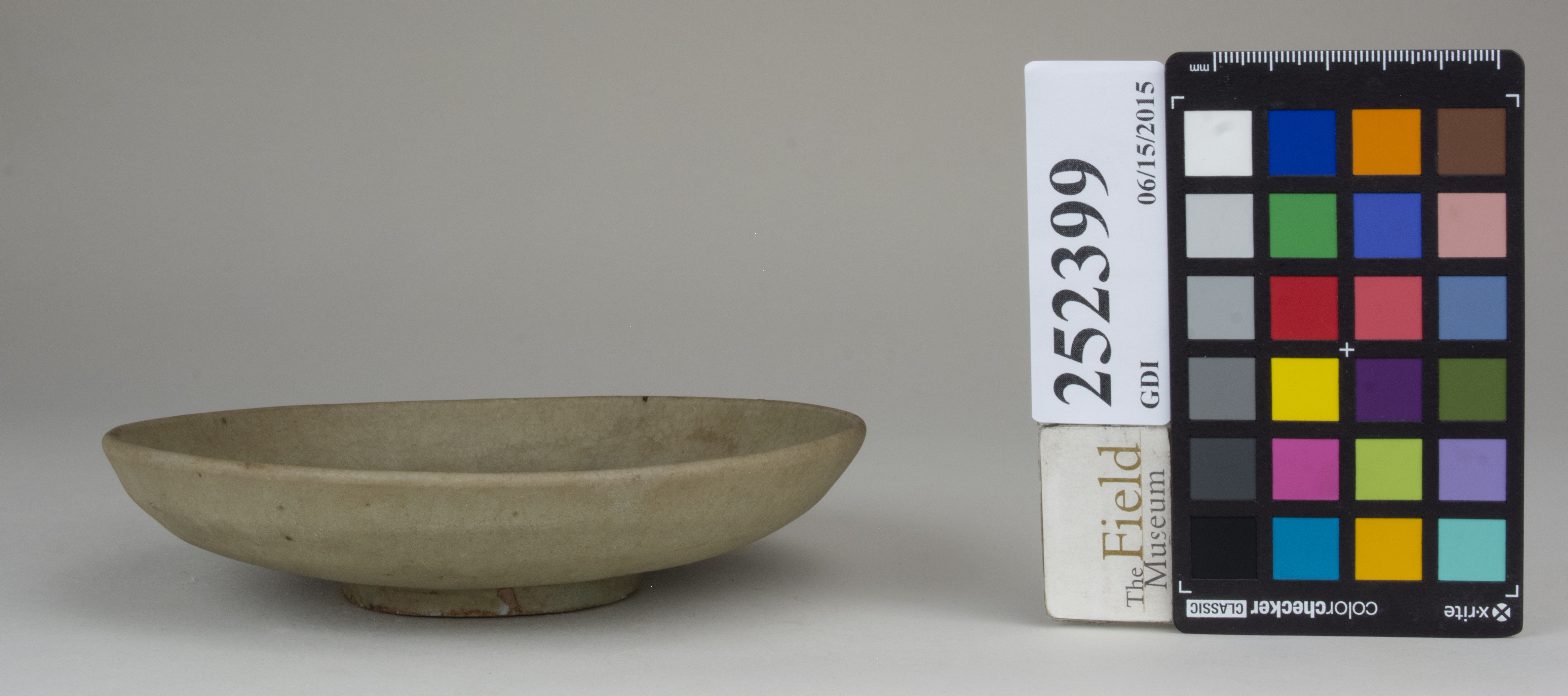 reference image, back (c) Field Museum of Natural History - CC BY-NC 4.0