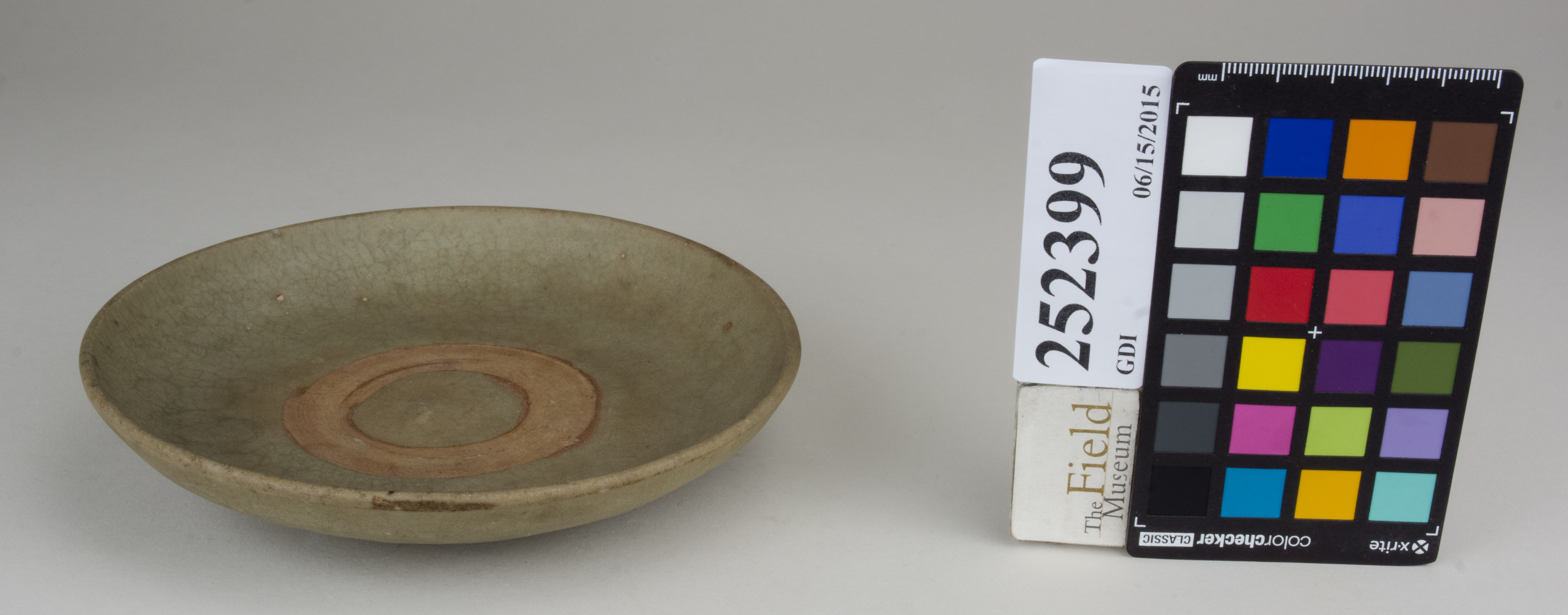 FrontAngle (c) Field Museum of Natural History - CC BY-NC 4.0