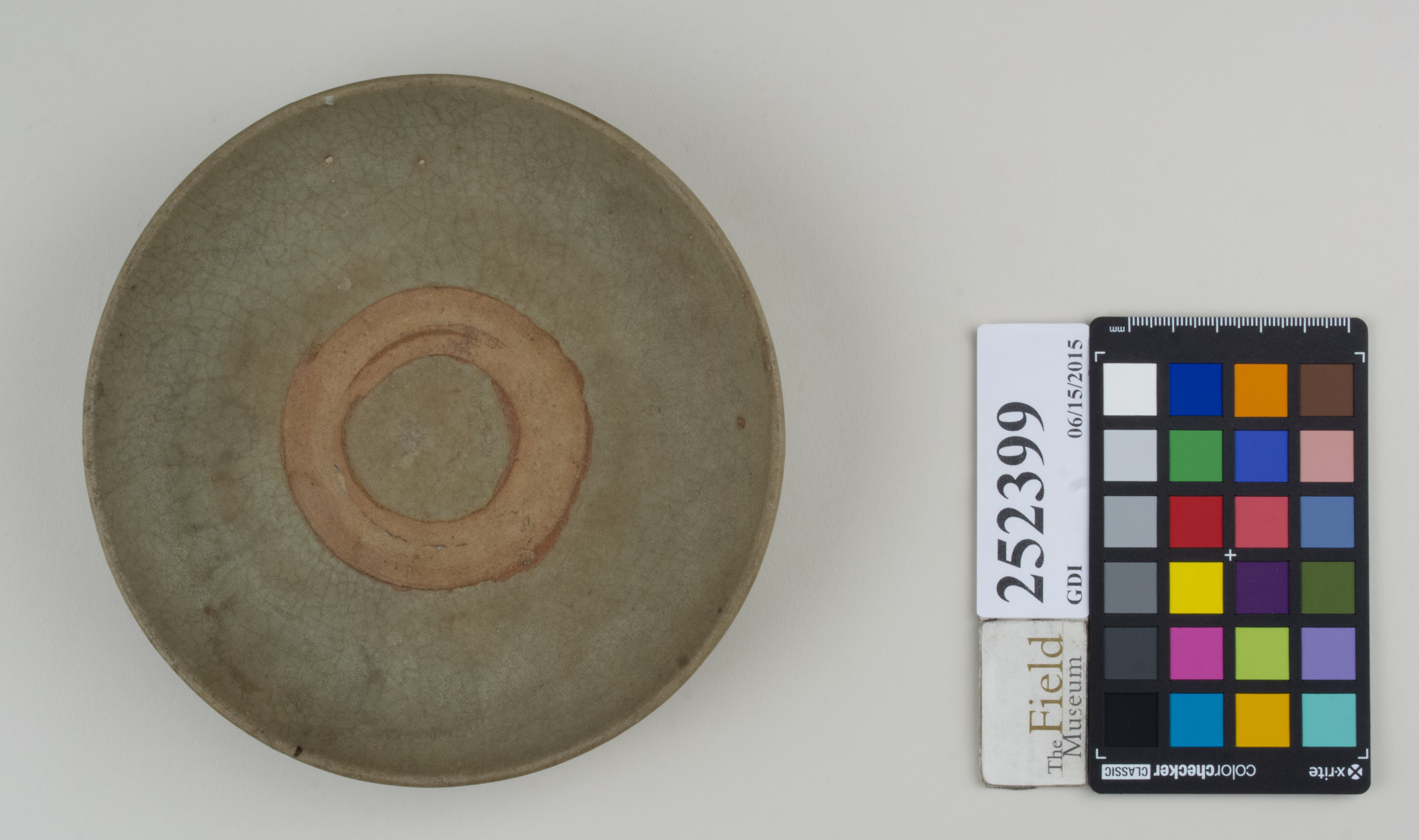 Top (c) Field Museum of Natural History - CC BY-NC 4.0