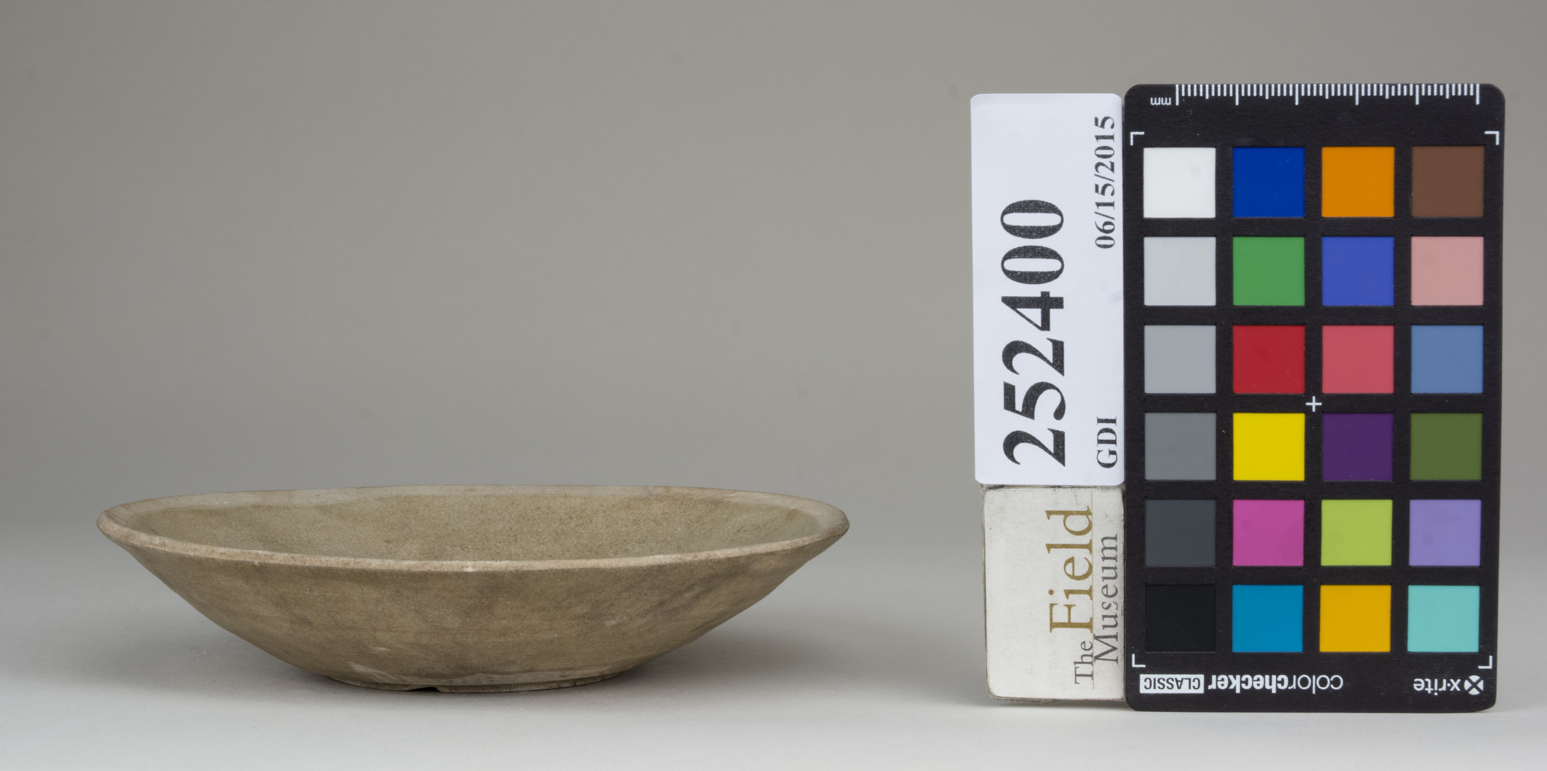 reference image, back (c) Field Museum of Natural History - CC BY-NC 4.0