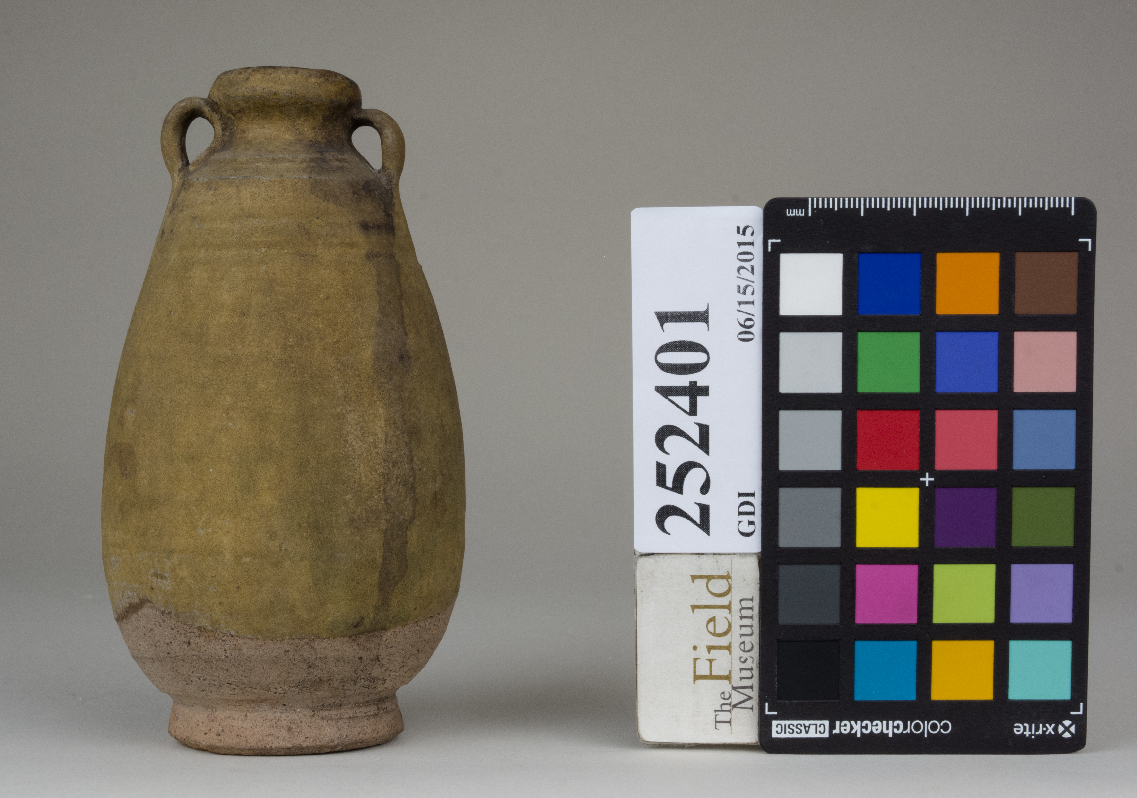 reference image, back (c) Field Museum of Natural History - CC BY-NC 4.0