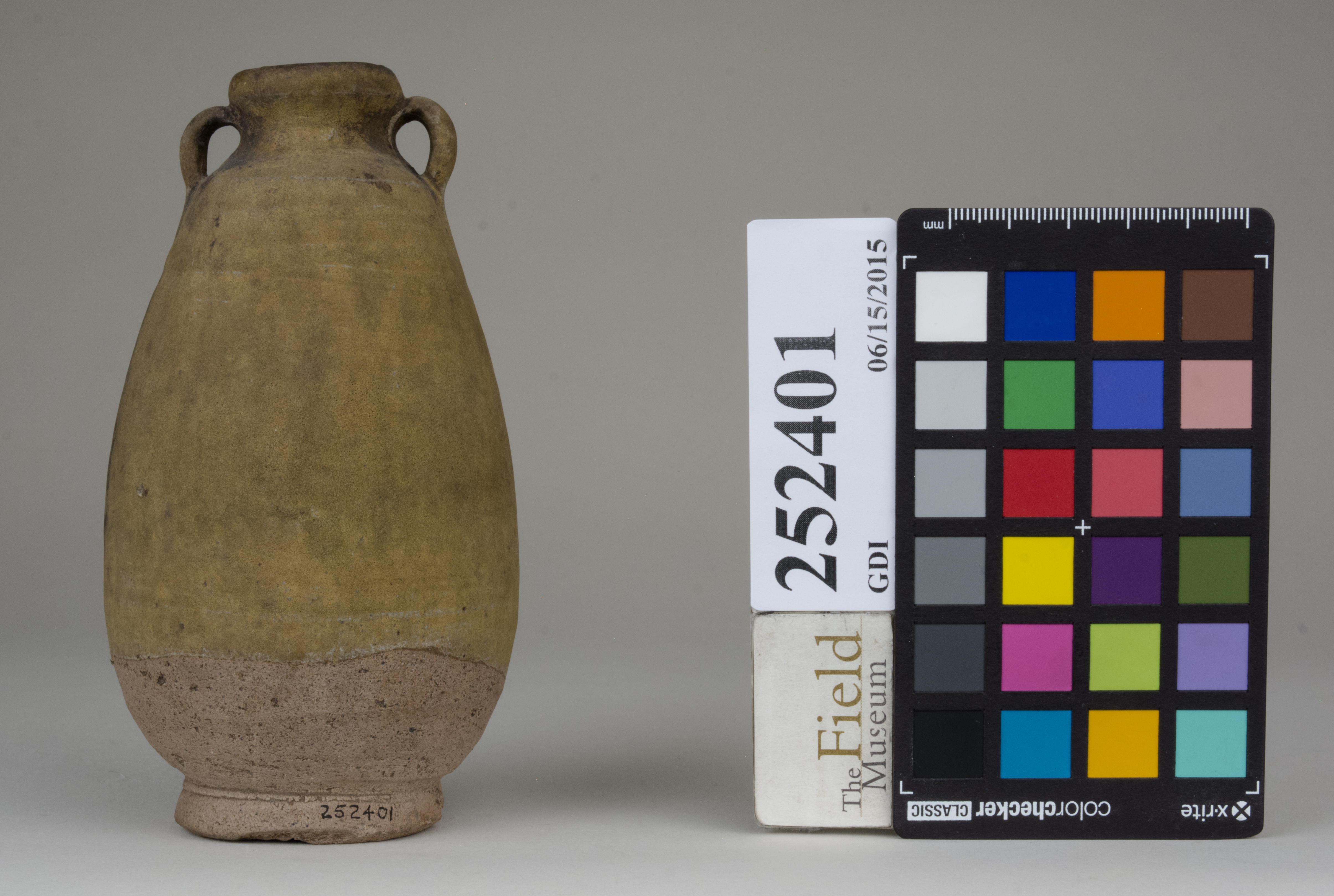 Front (c) Field Museum of Natural History - CC BY-NC 4.0