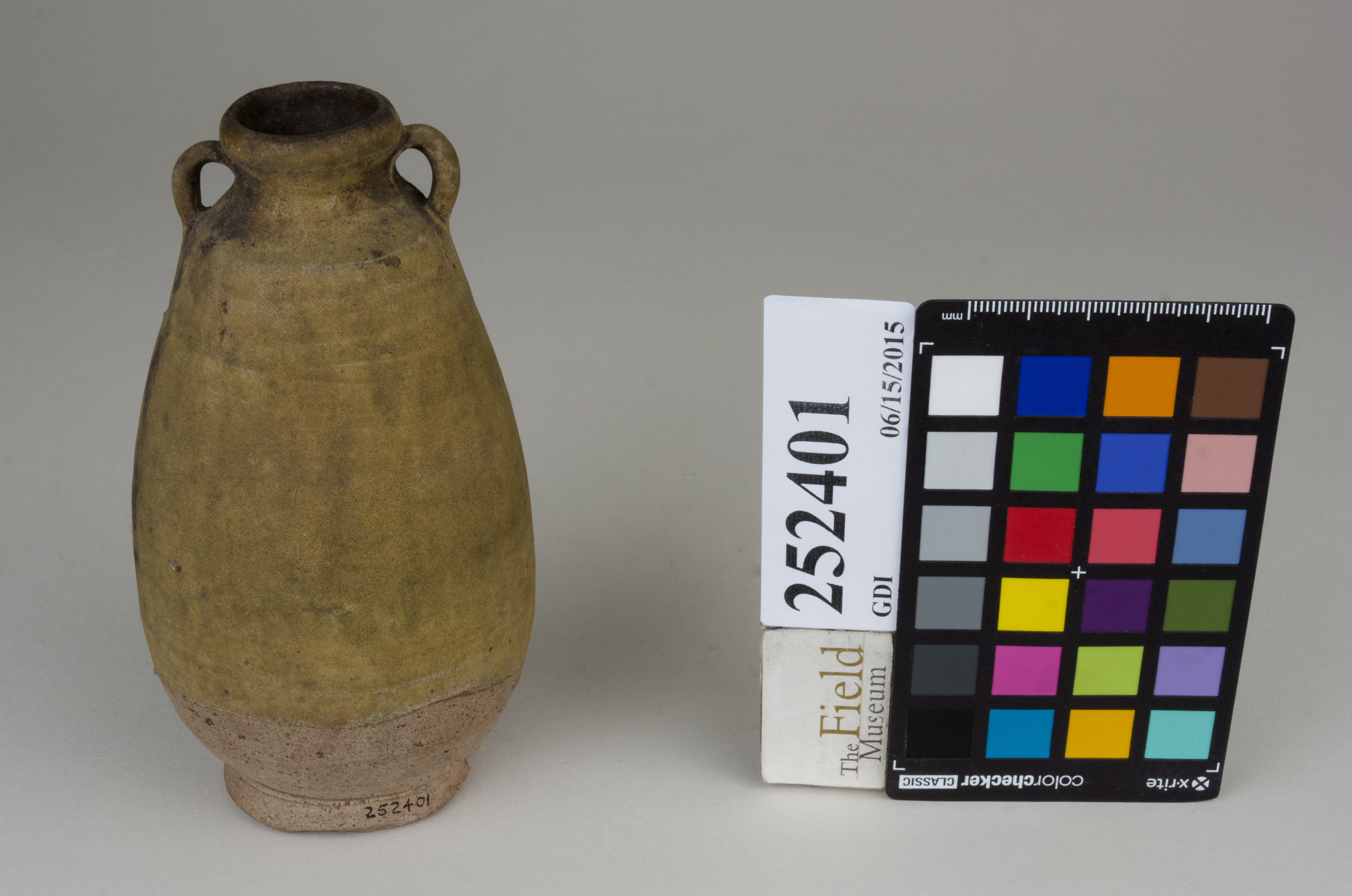 FrontAngle (c) Field Museum of Natural History - CC BY-NC 4.0