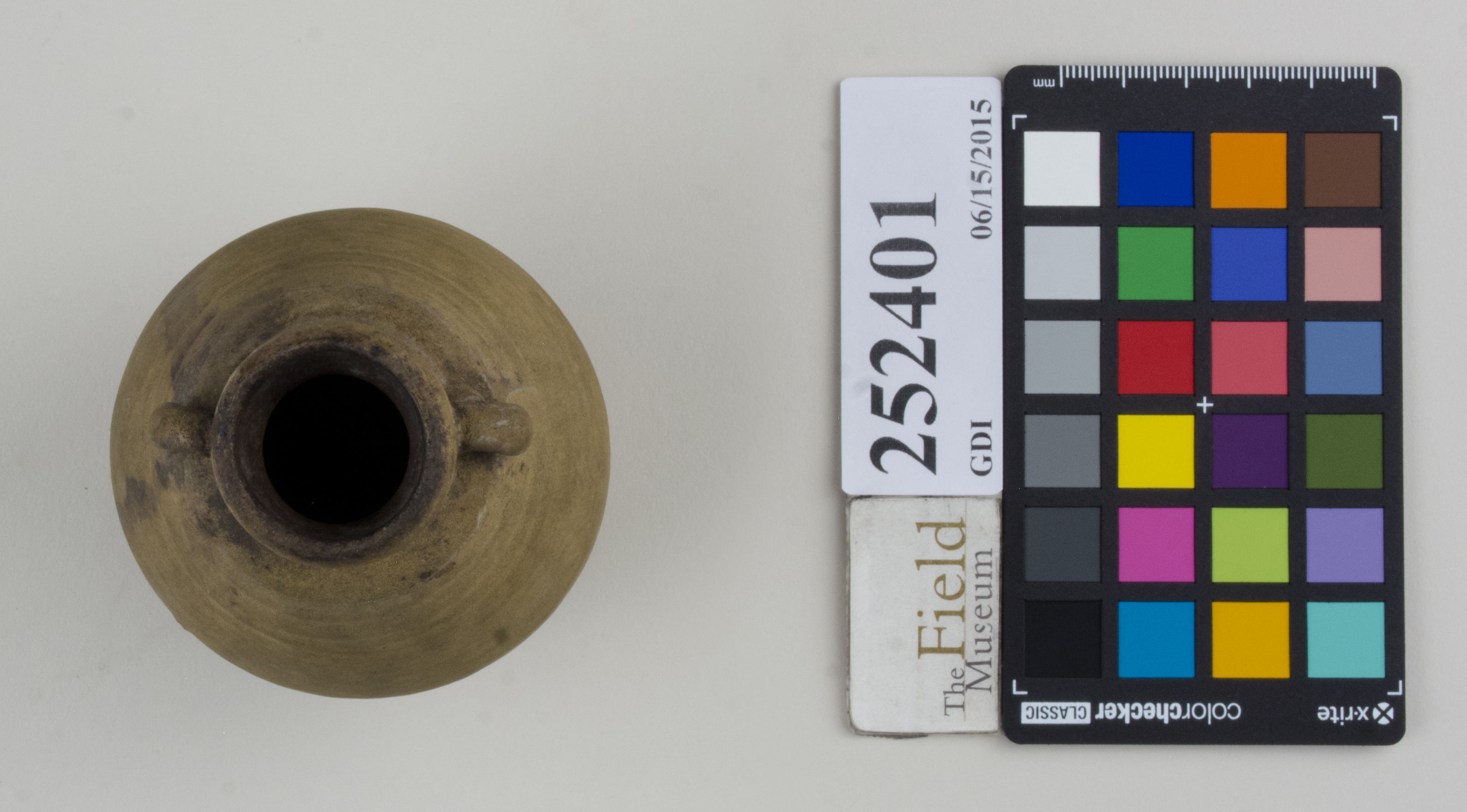 Top (c) Field Museum of Natural History - CC BY-NC 4.0