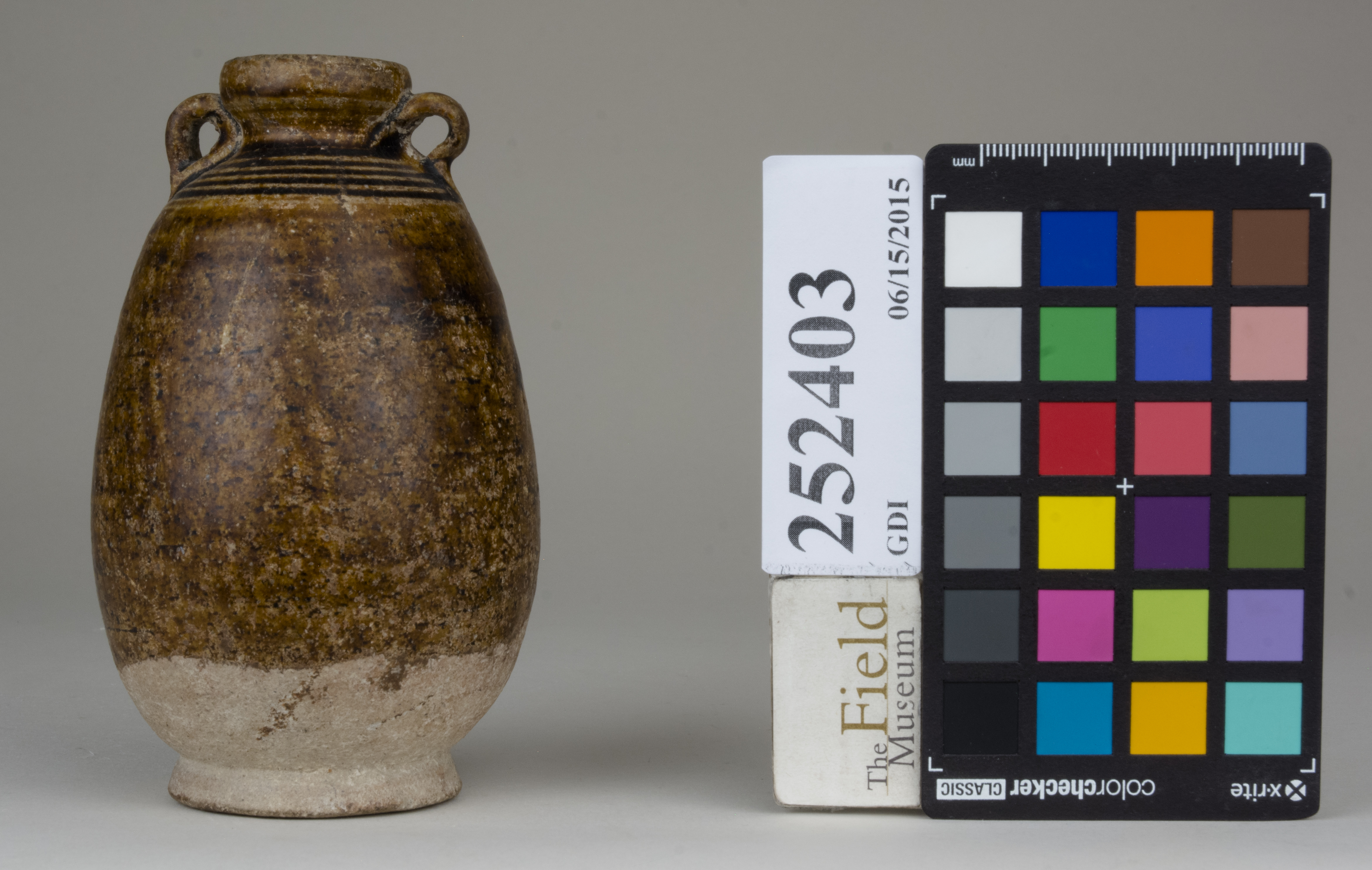 reference image, back (c) Field Museum of Natural History - CC BY-NC 4.0