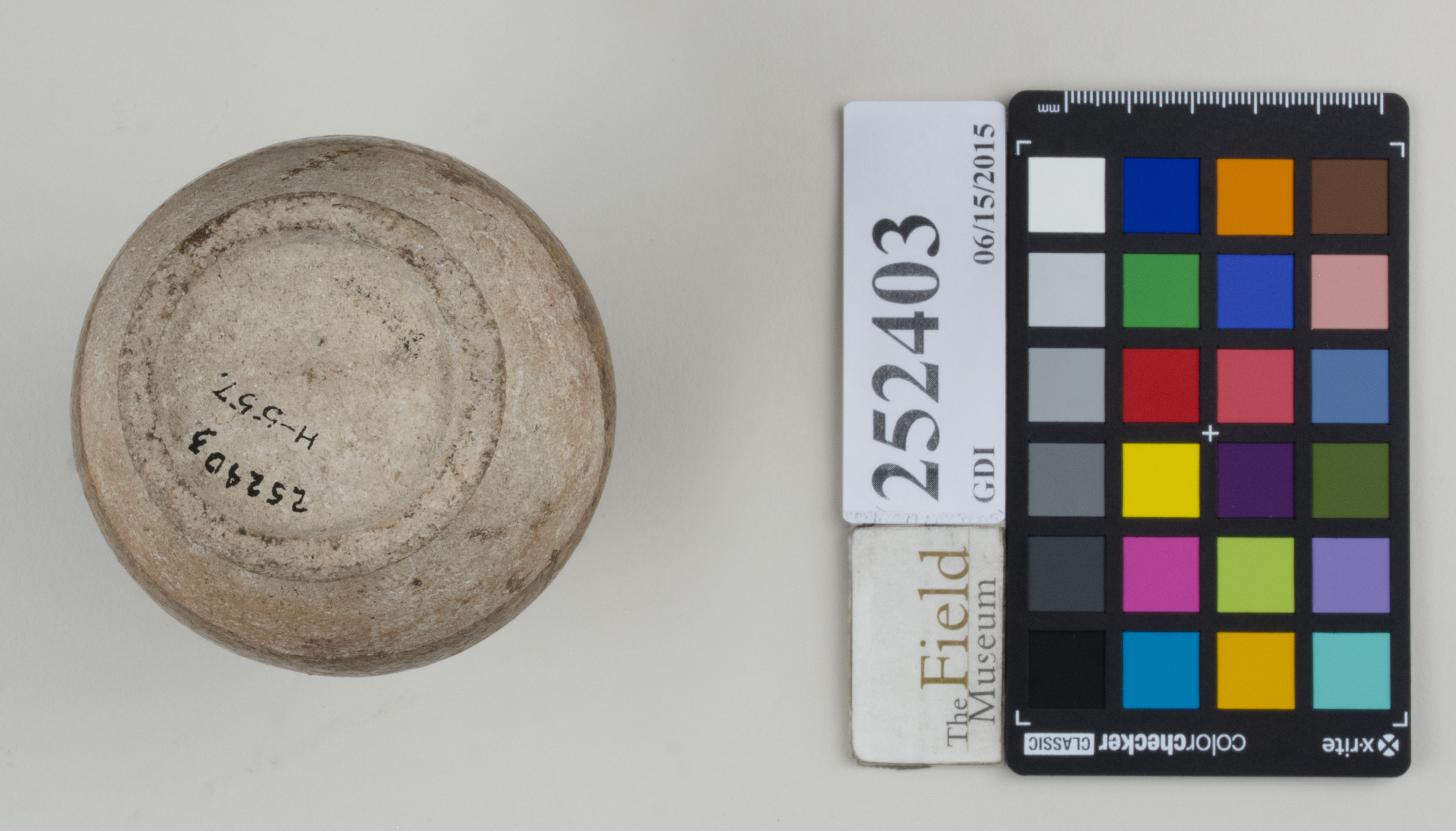 Bottom (c) Field Museum of Natural History - CC BY-NC 4.0