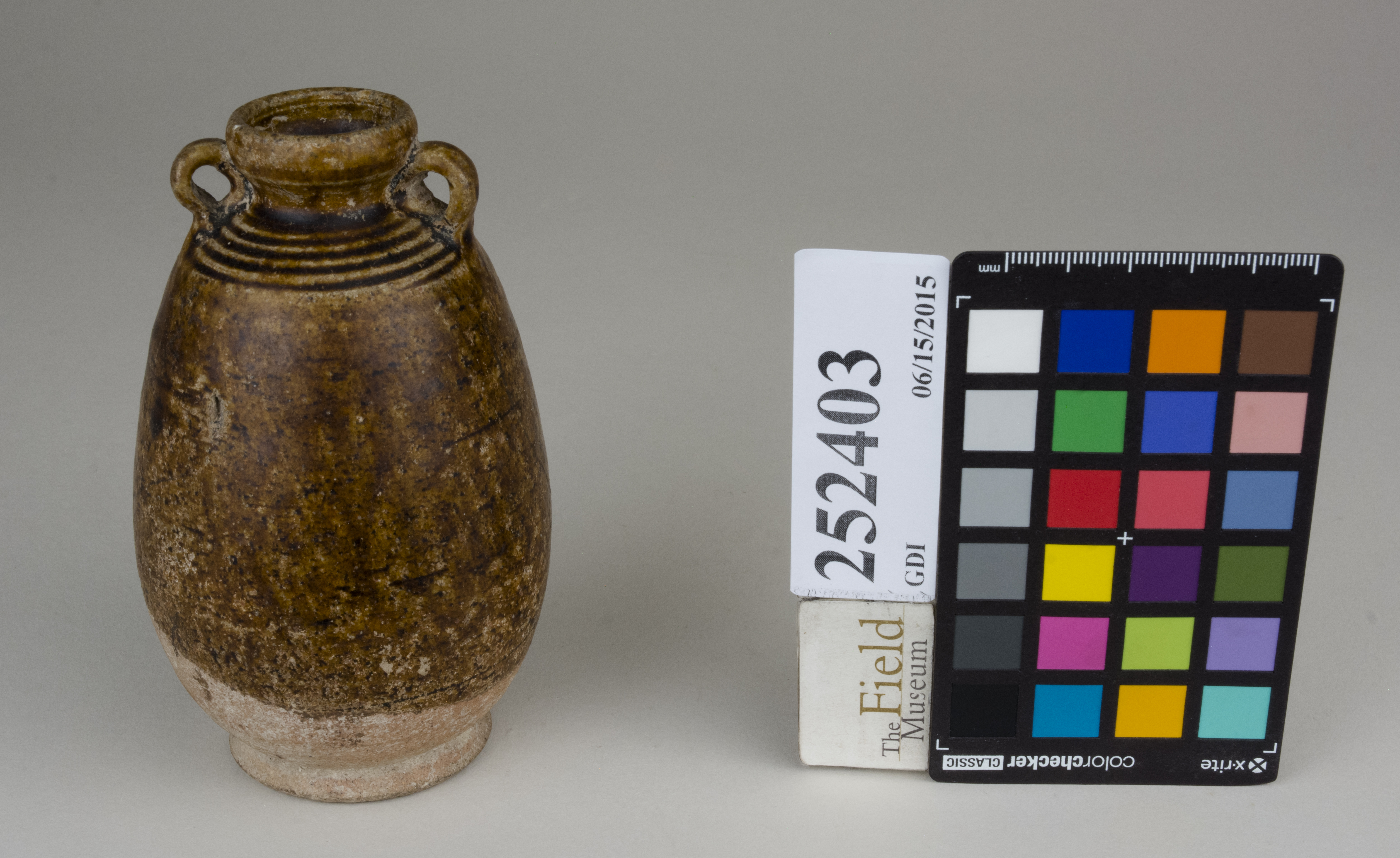 FrontAngle (c) Field Museum of Natural History - CC BY-NC 4.0