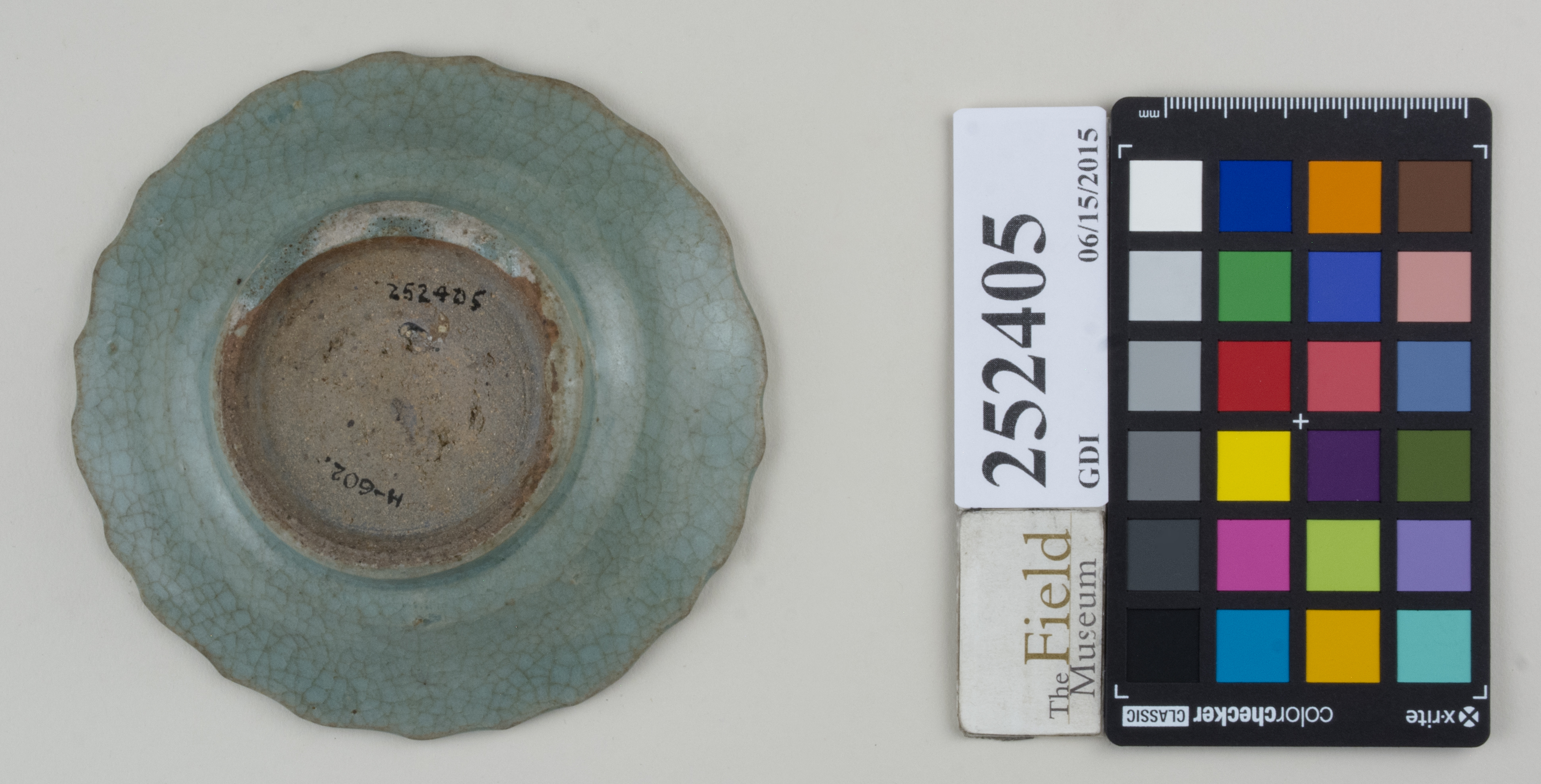 Bottom (c) Field Museum of Natural History - CC BY-NC 4.0