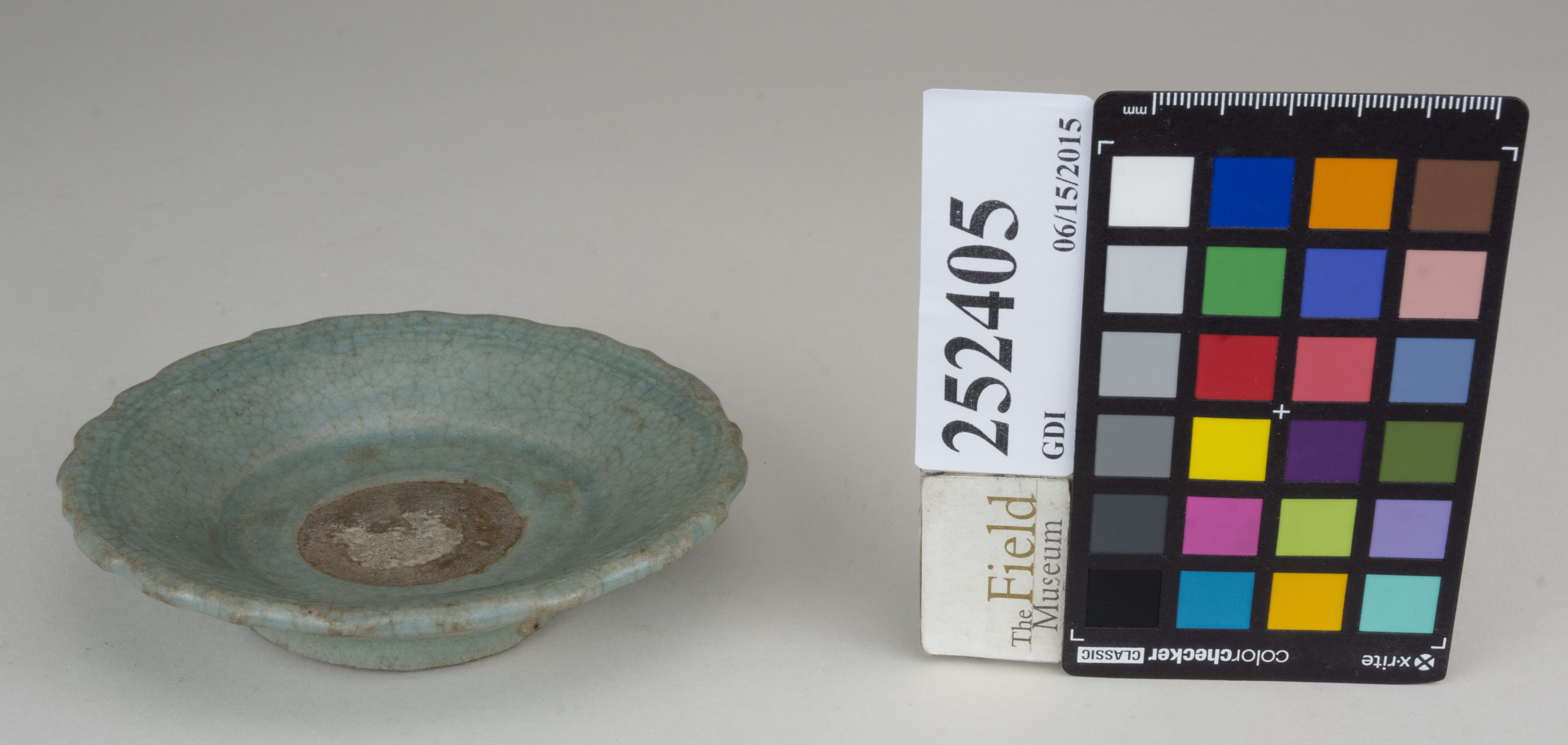 FrontAngle (c) Field Museum of Natural History - CC BY-NC 4.0