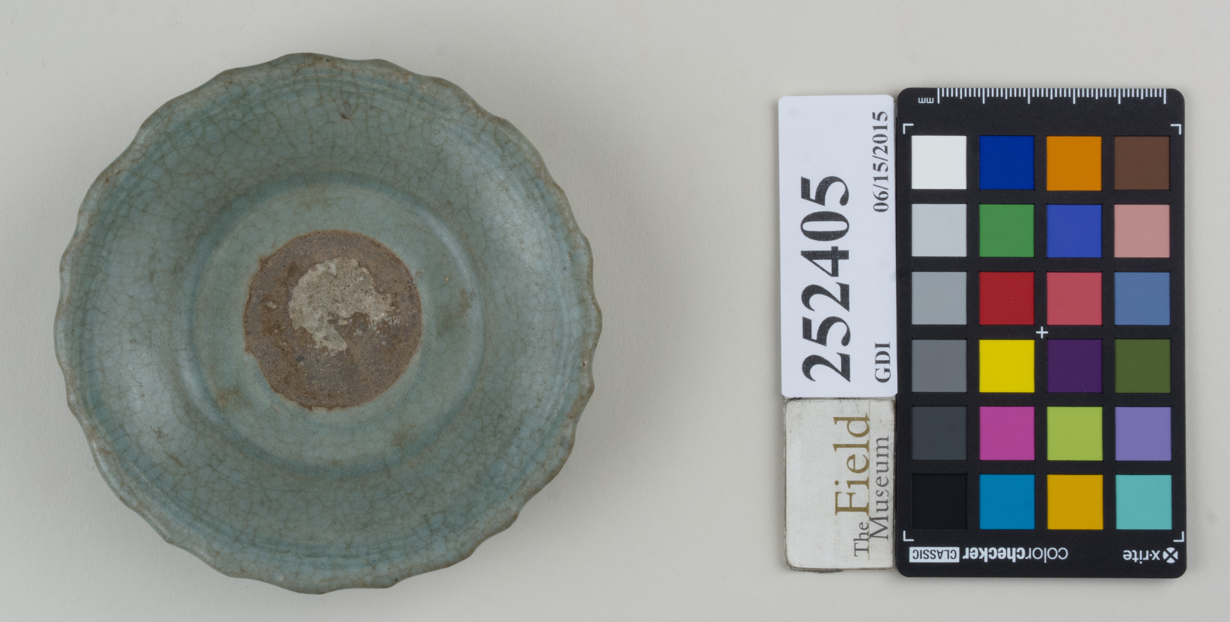 Top (c) Field Museum of Natural History - CC BY-NC 4.0