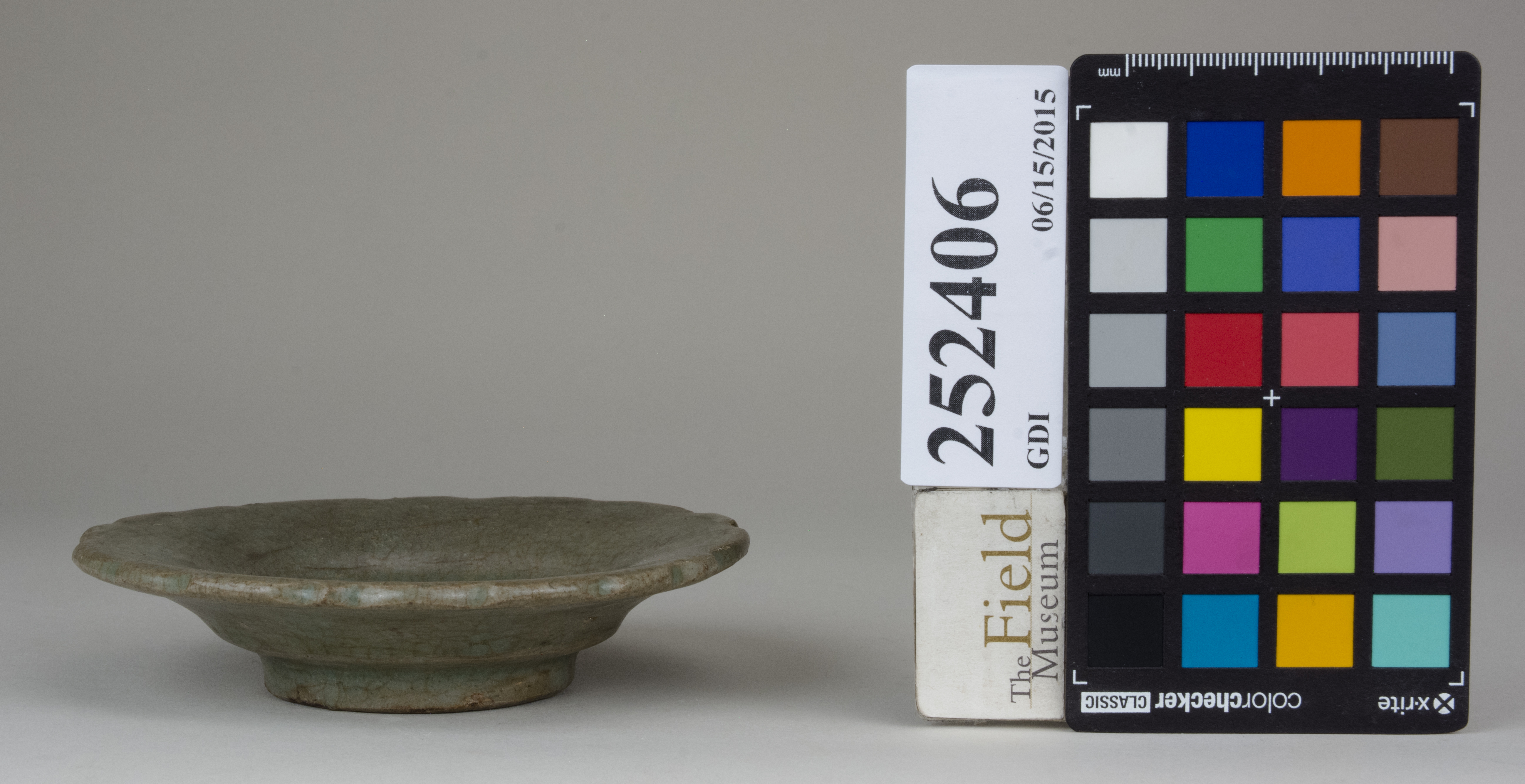 reference image, back (c) Field Museum of Natural History - CC BY-NC 4.0