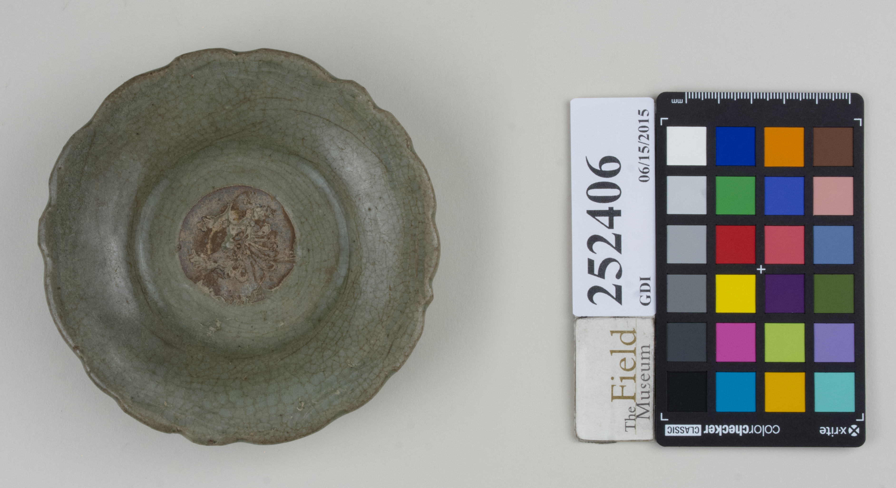 Top (c) Field Museum of Natural History - CC BY-NC 4.0