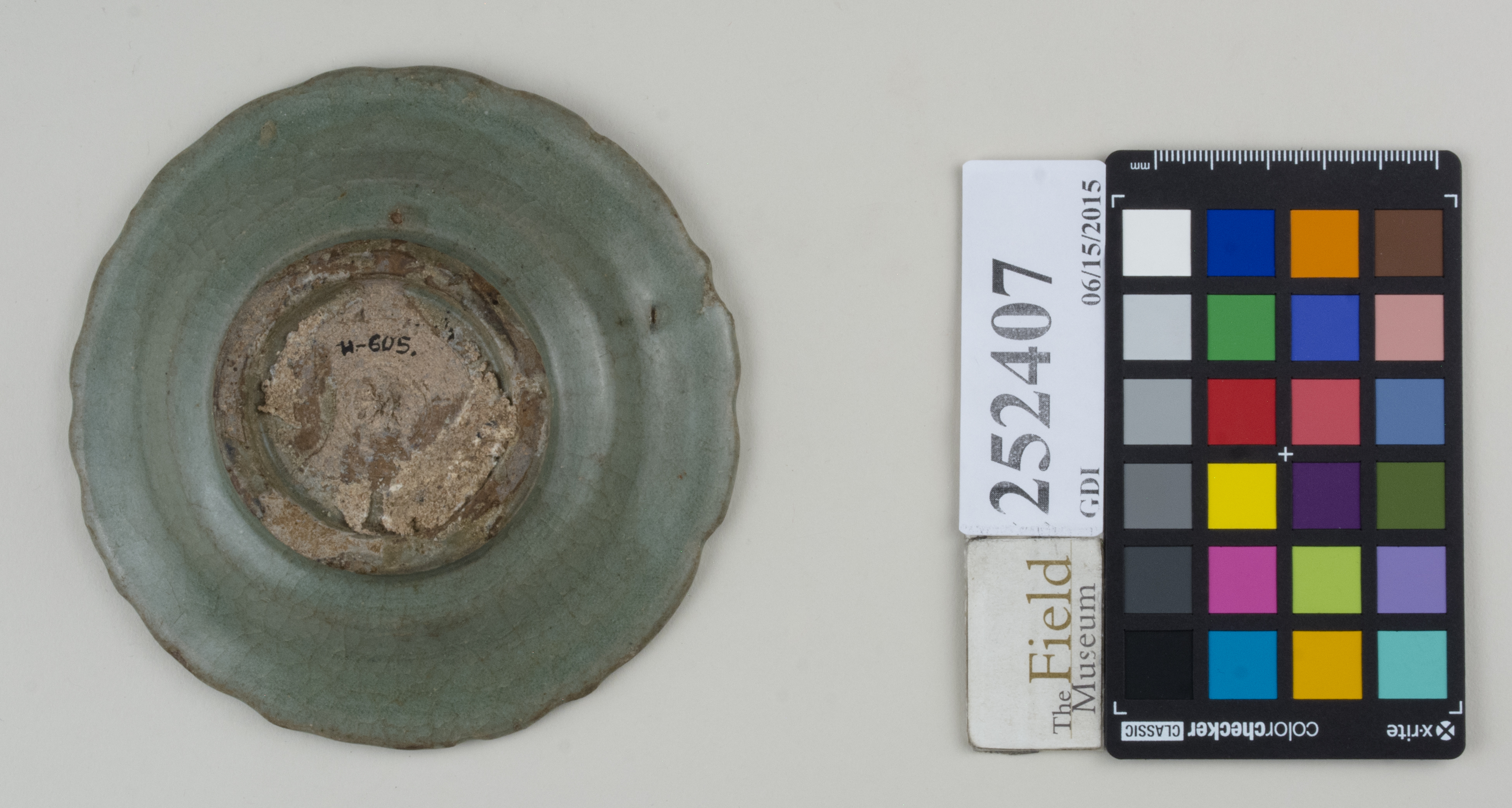 Bottom (c) Field Museum of Natural History - CC BY-NC 4.0