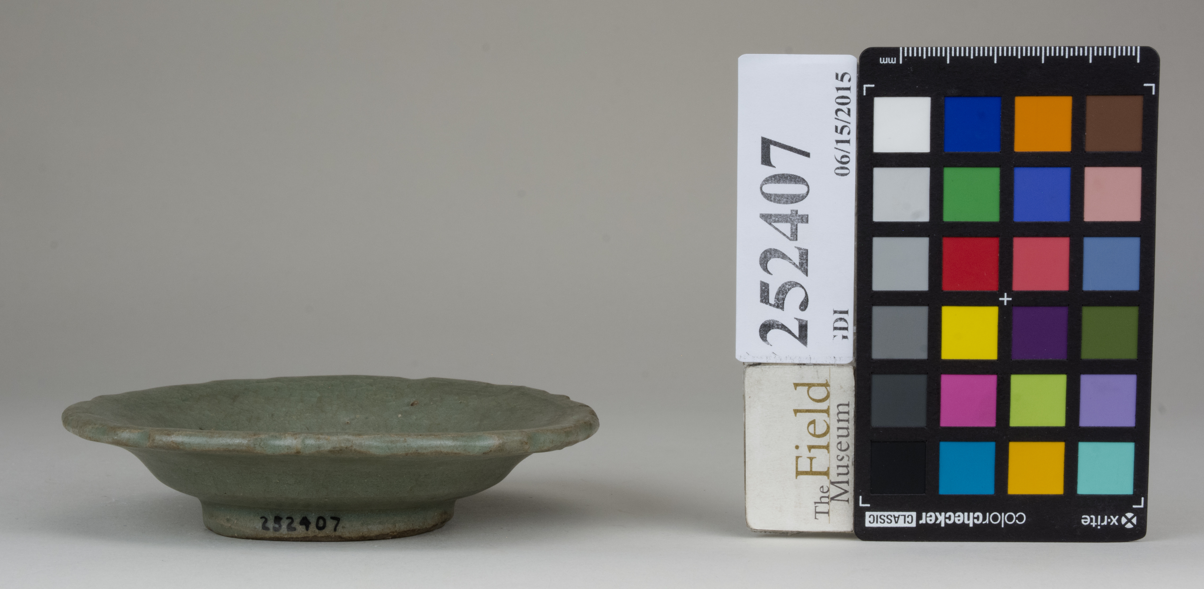 Front (c) Field Museum of Natural History - CC BY-NC 4.0