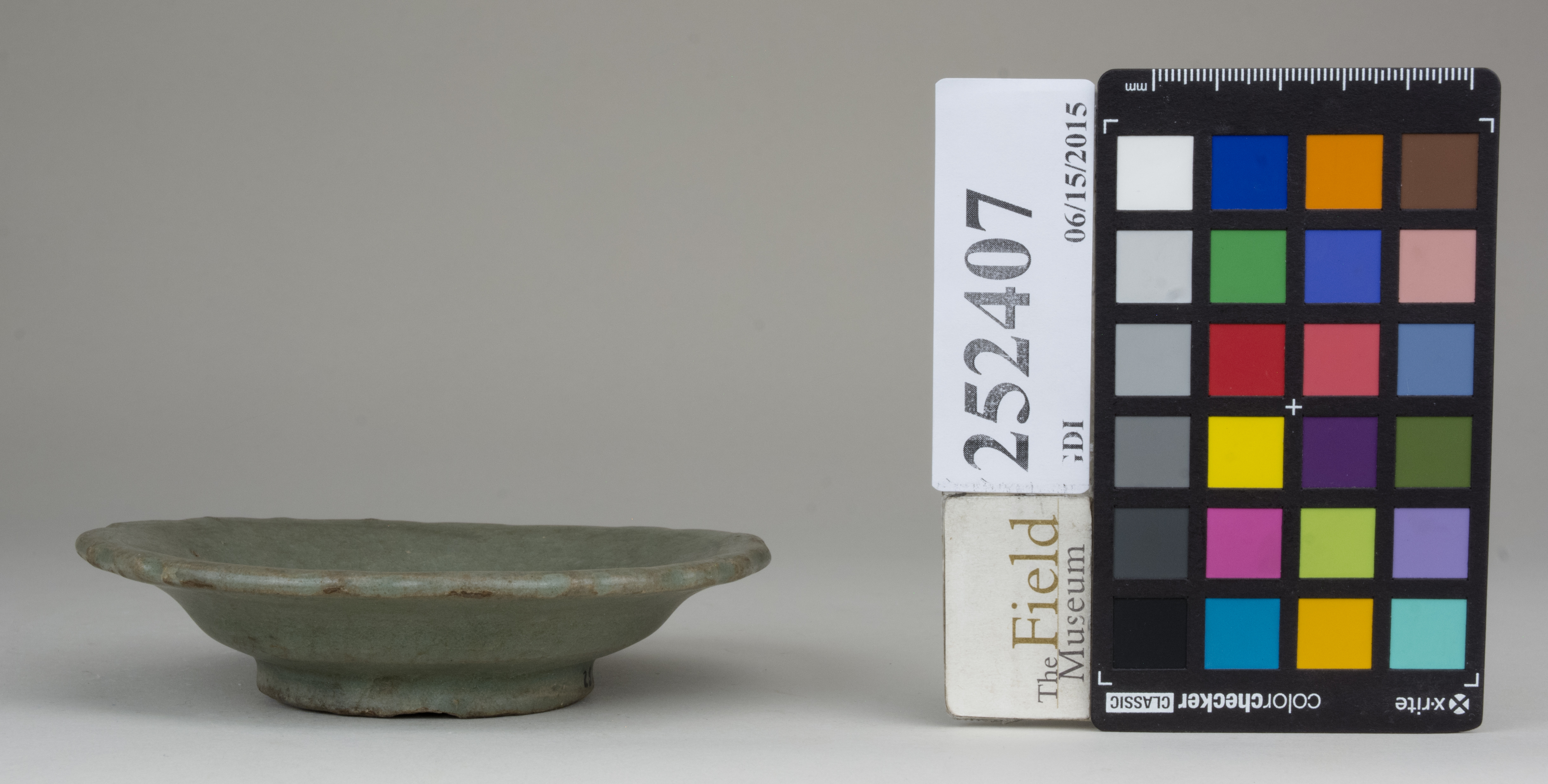 Right (c) Field Museum of Natural History - CC BY-NC 4.0