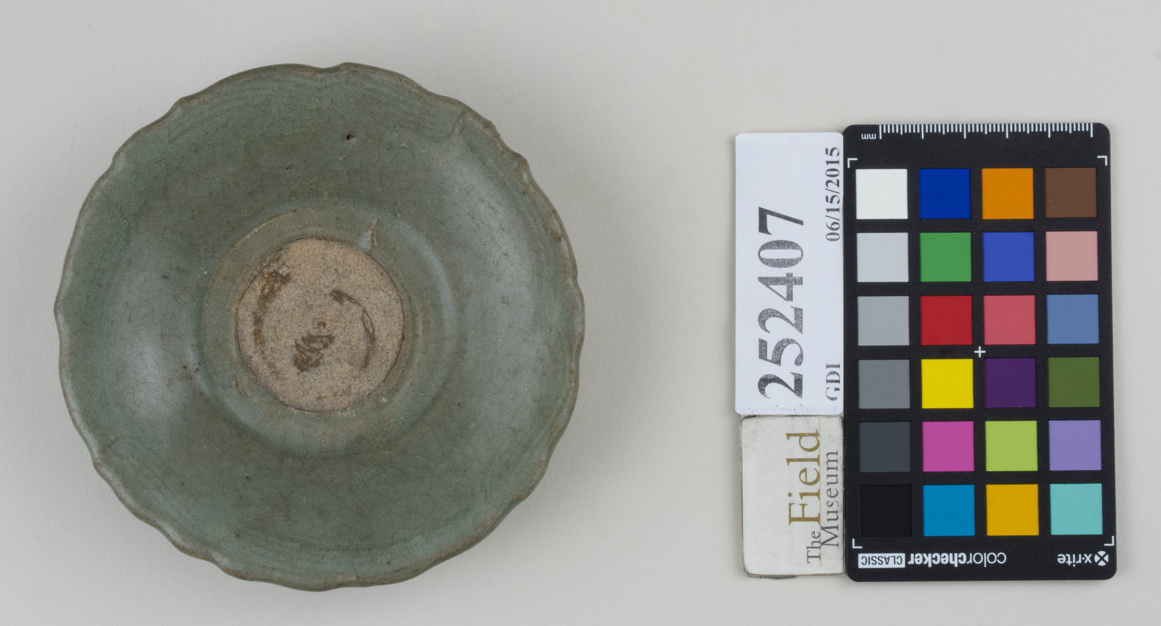 Top (c) Field Museum of Natural History - CC BY-NC 4.0