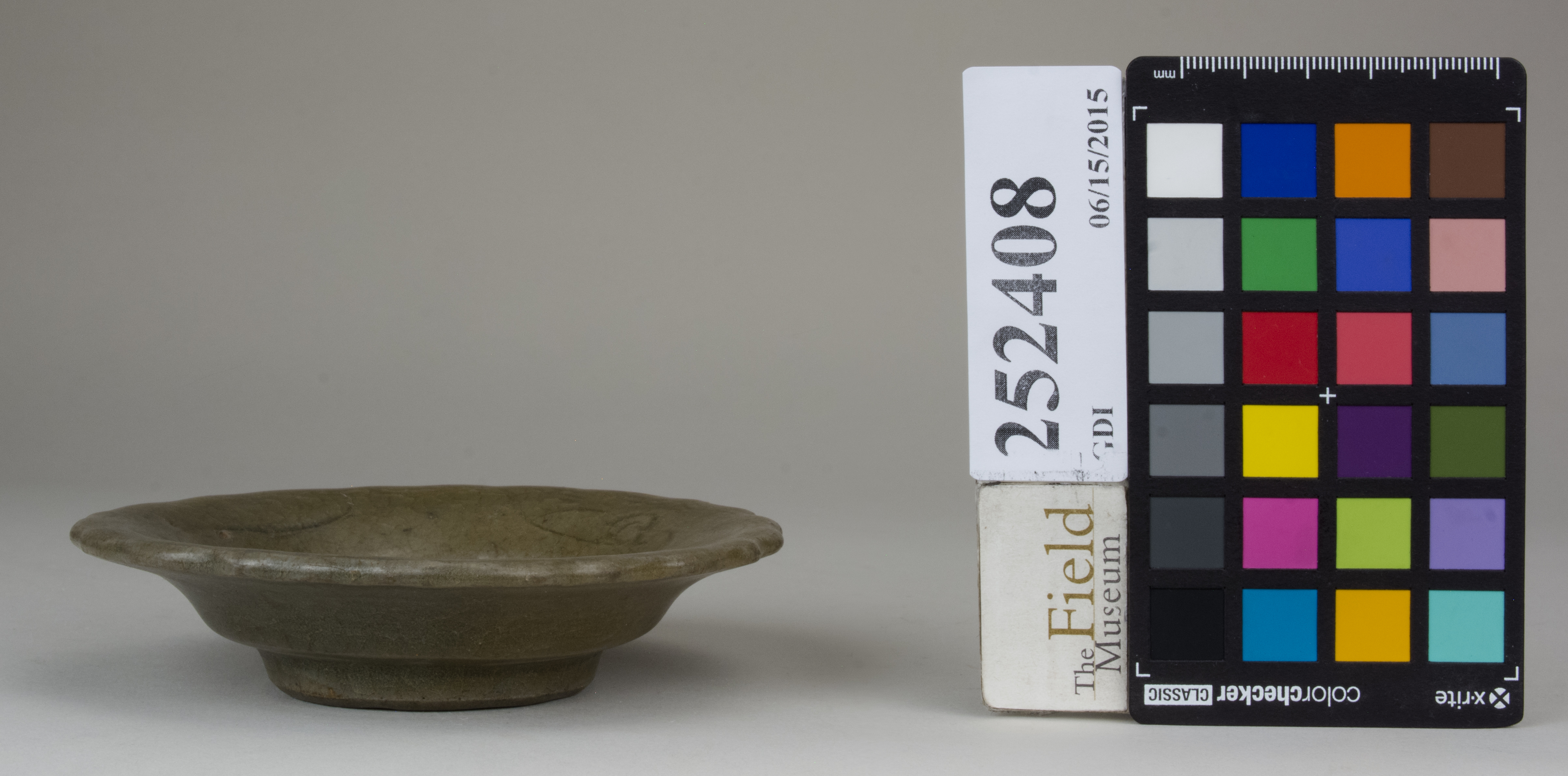 reference image, back (c) Field Museum of Natural History - CC BY-NC 4.0