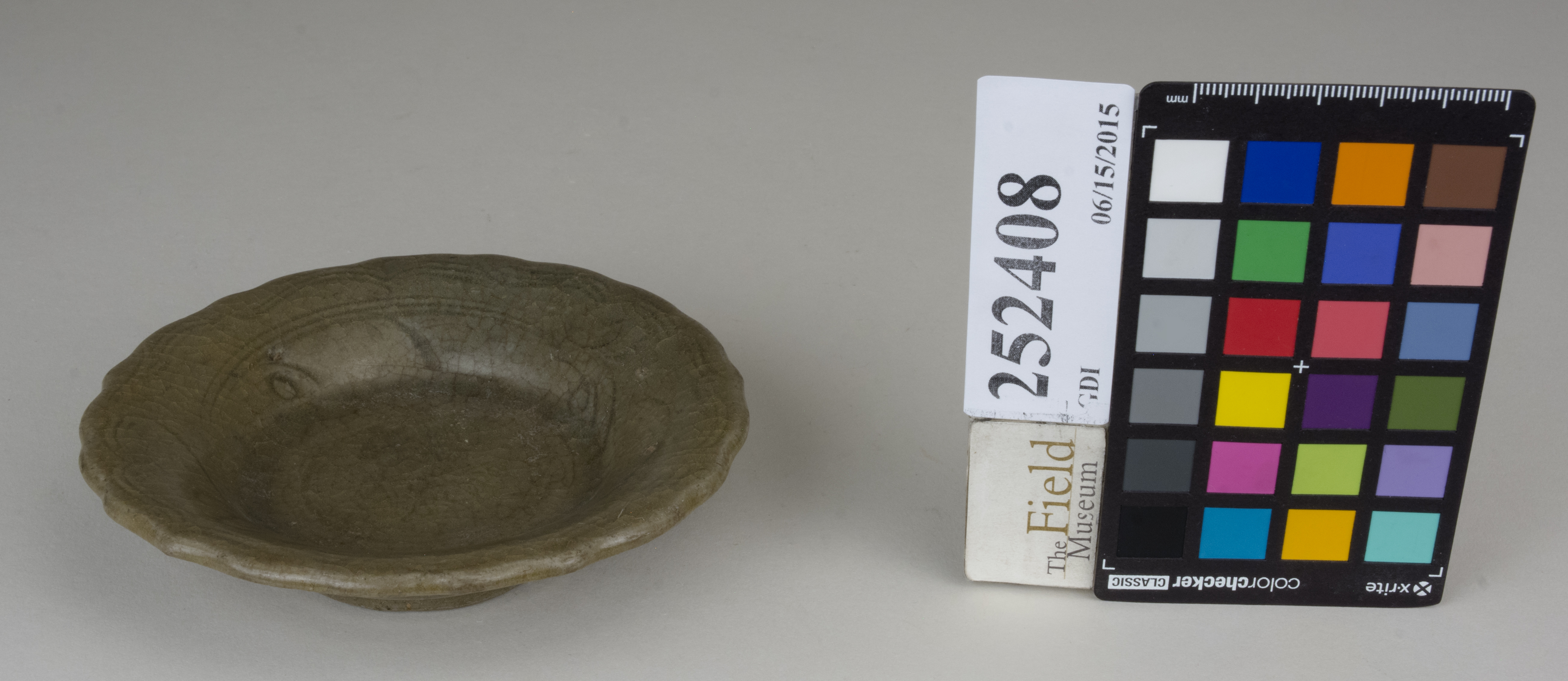 FrontAngle (c) Field Museum of Natural History - CC BY-NC 4.0