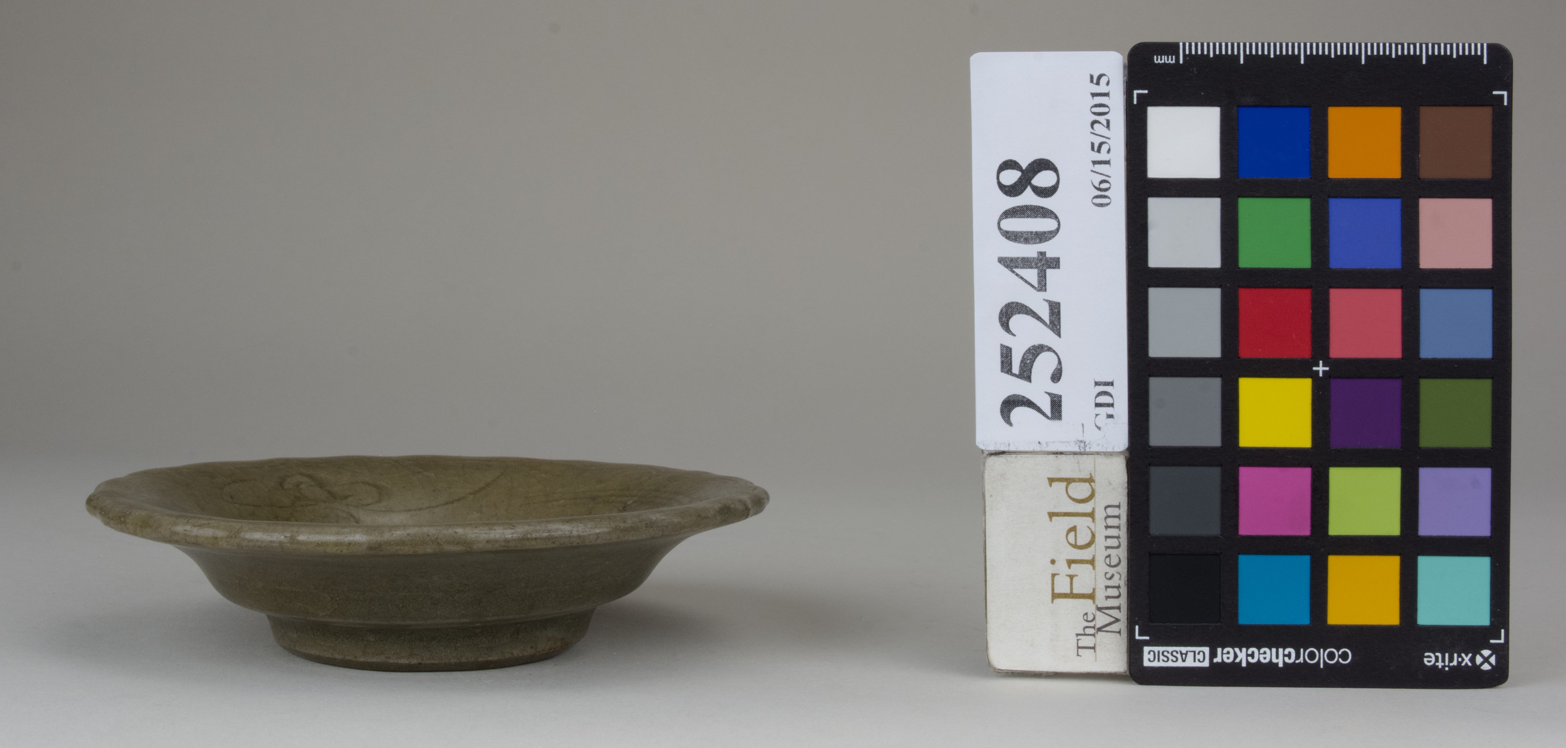 Left (c) Field Museum of Natural History - CC BY-NC 4.0