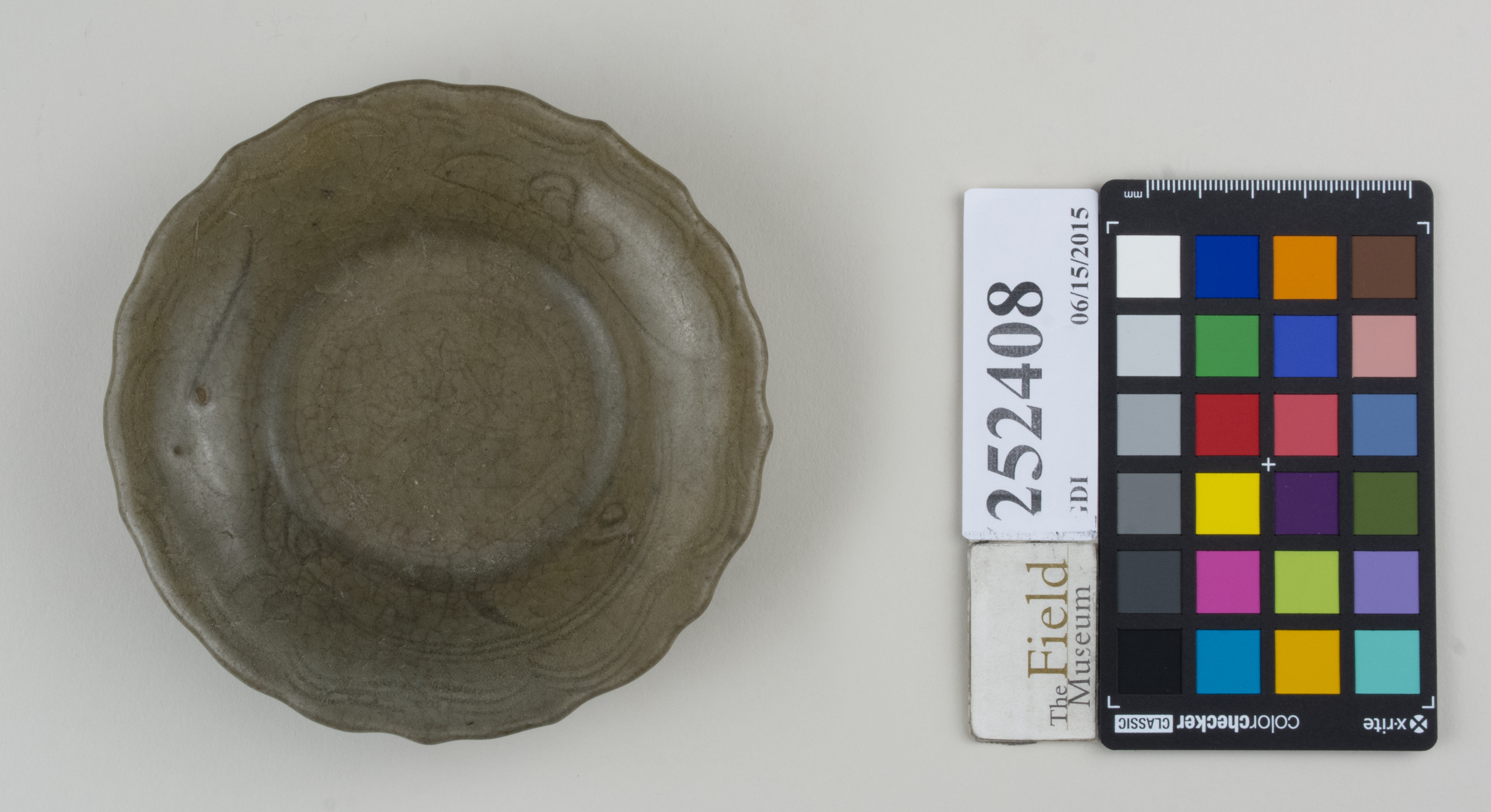 Top (c) Field Museum of Natural History - CC BY-NC 4.0