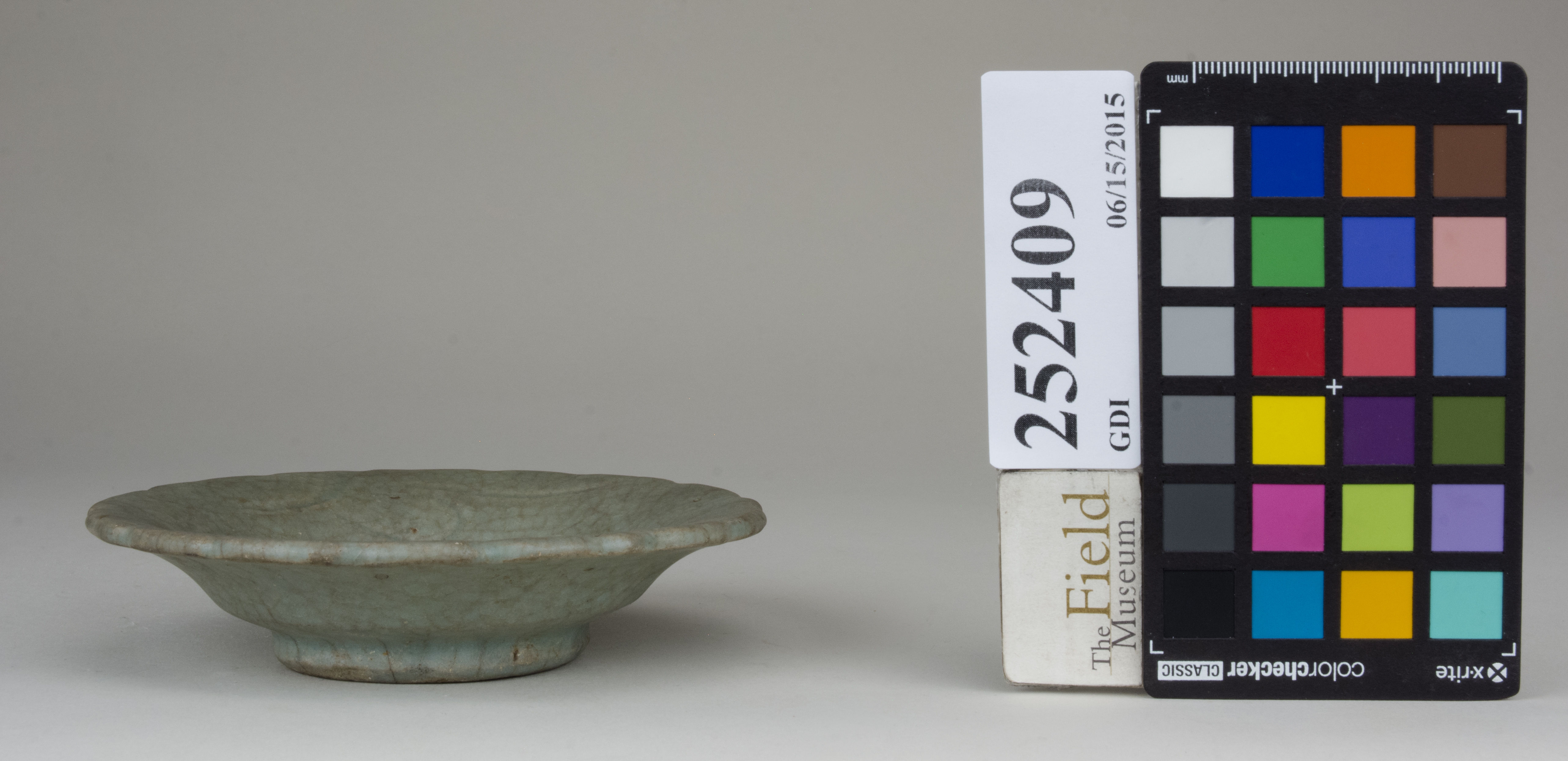 reference image, back (c) Field Museum of Natural History - CC BY-NC 4.0