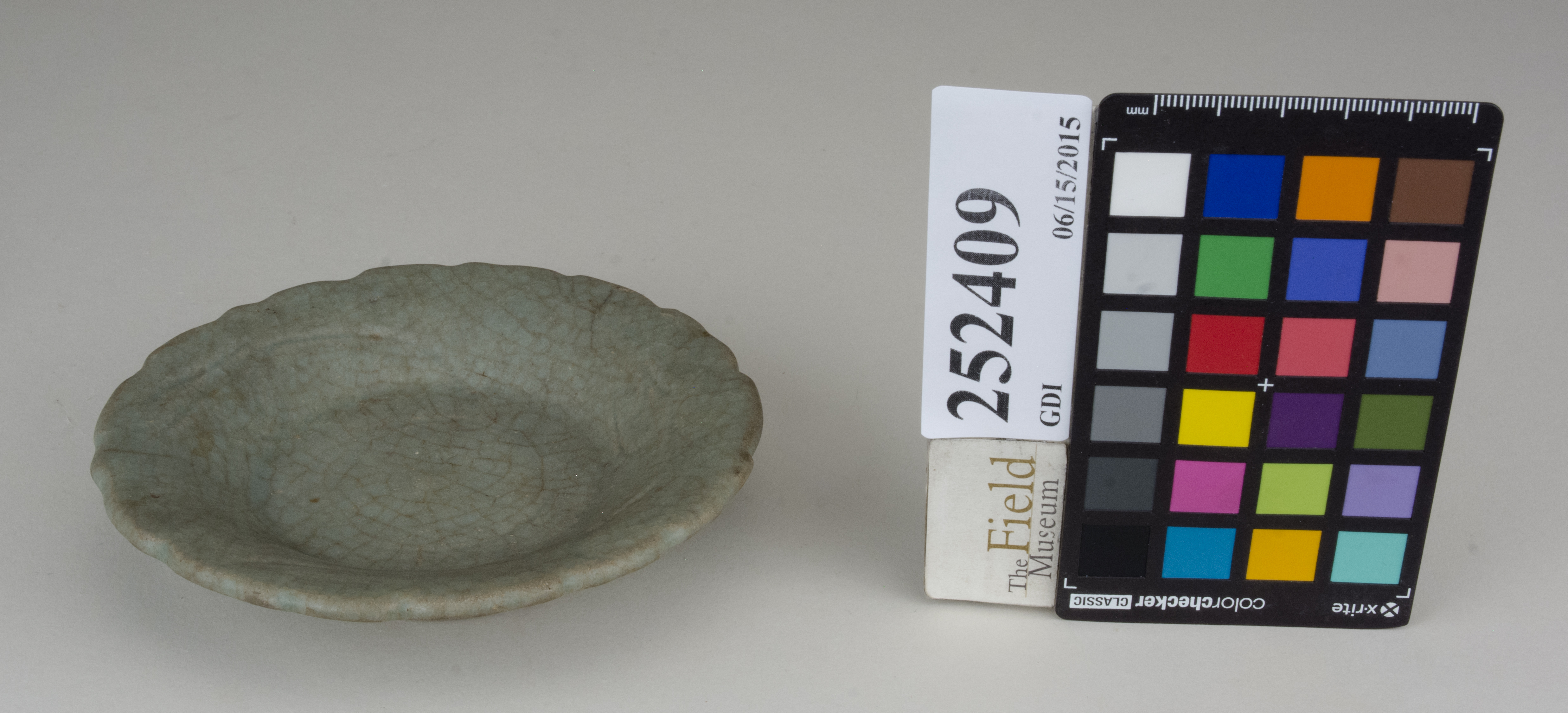 FrontAngle (c) Field Museum of Natural History - CC BY-NC 4.0