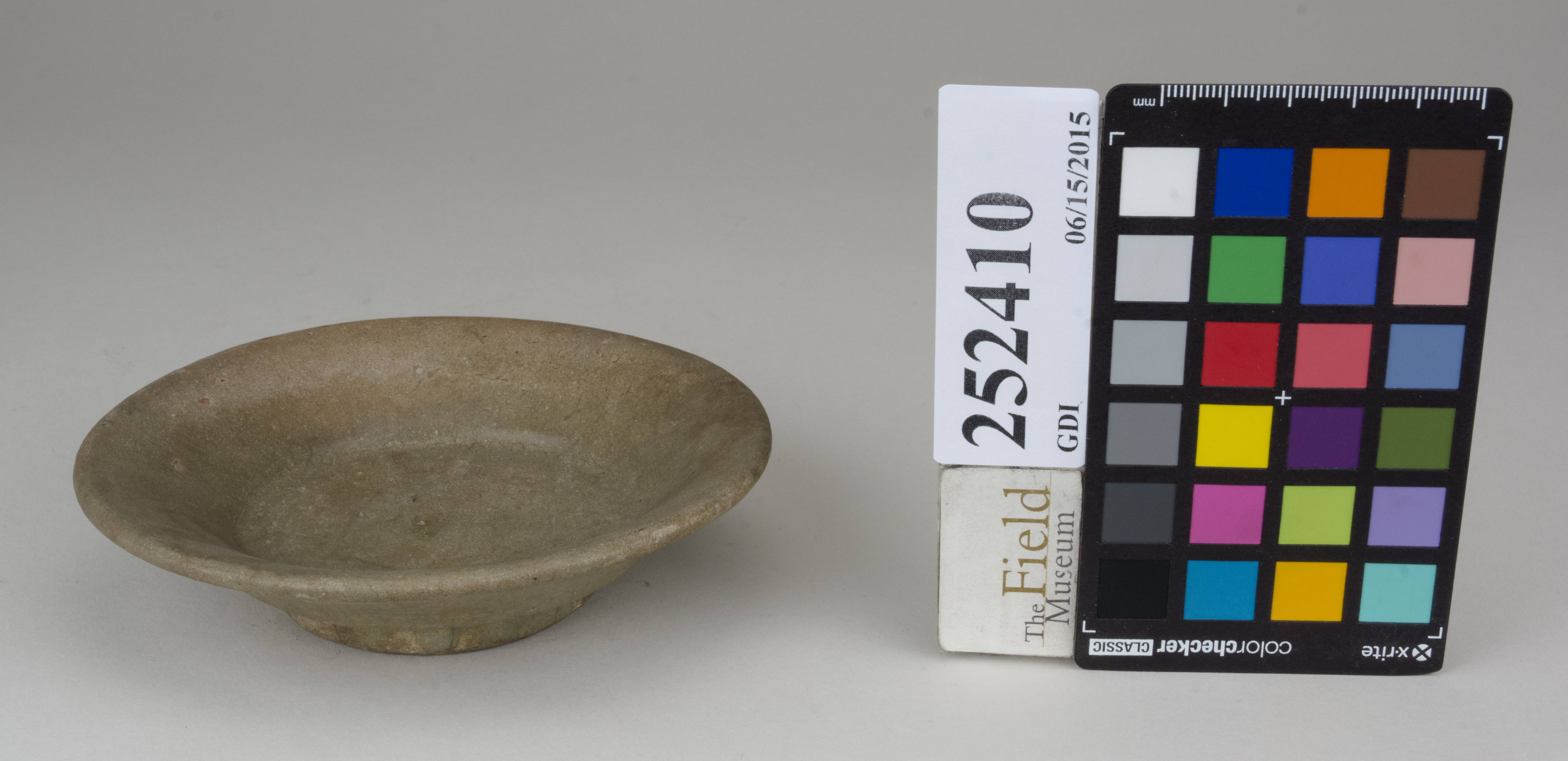 FrontAngle (c) Field Museum of Natural History - CC BY-NC 4.0