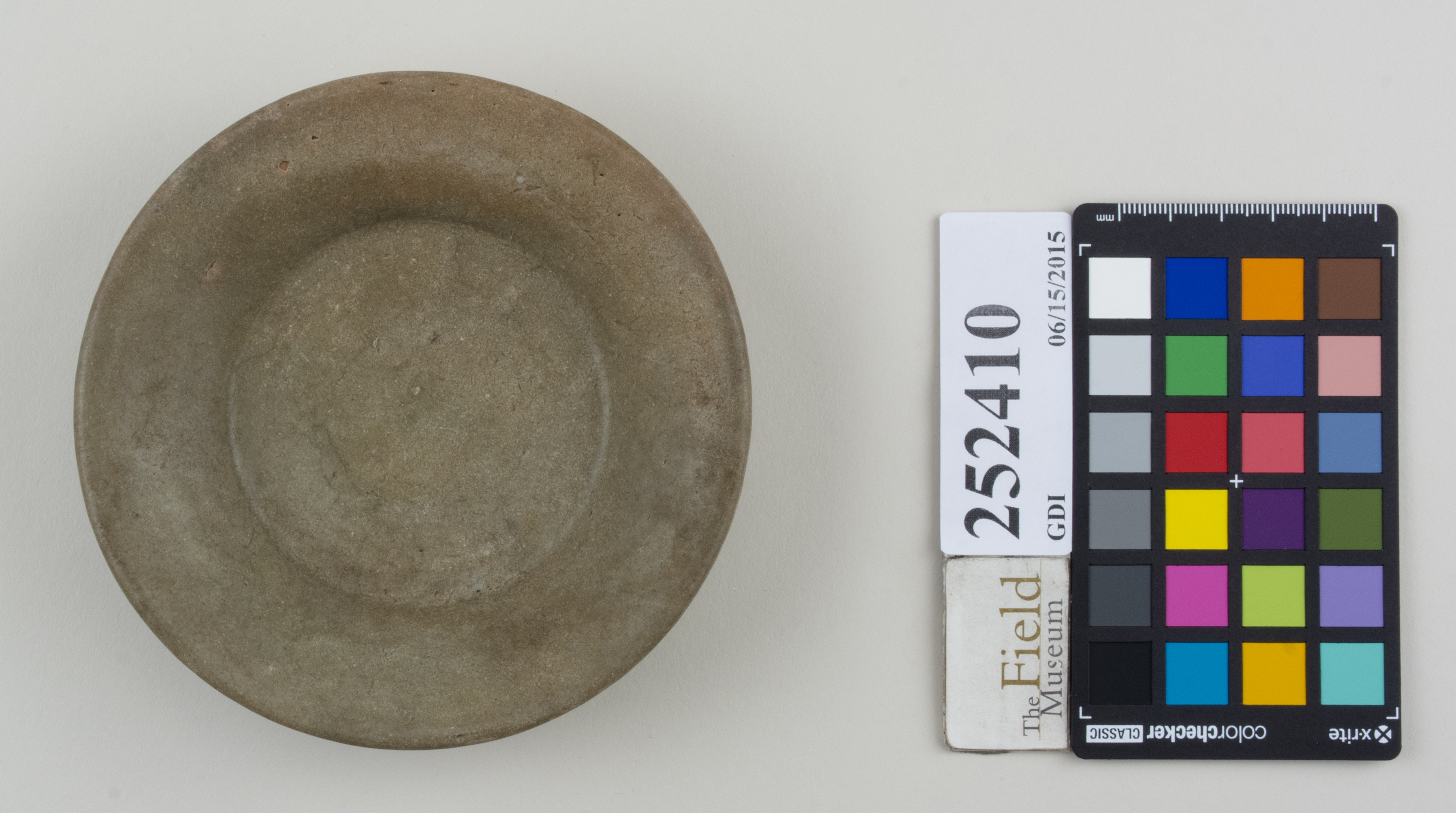 Top (c) Field Museum of Natural History - CC BY-NC 4.0