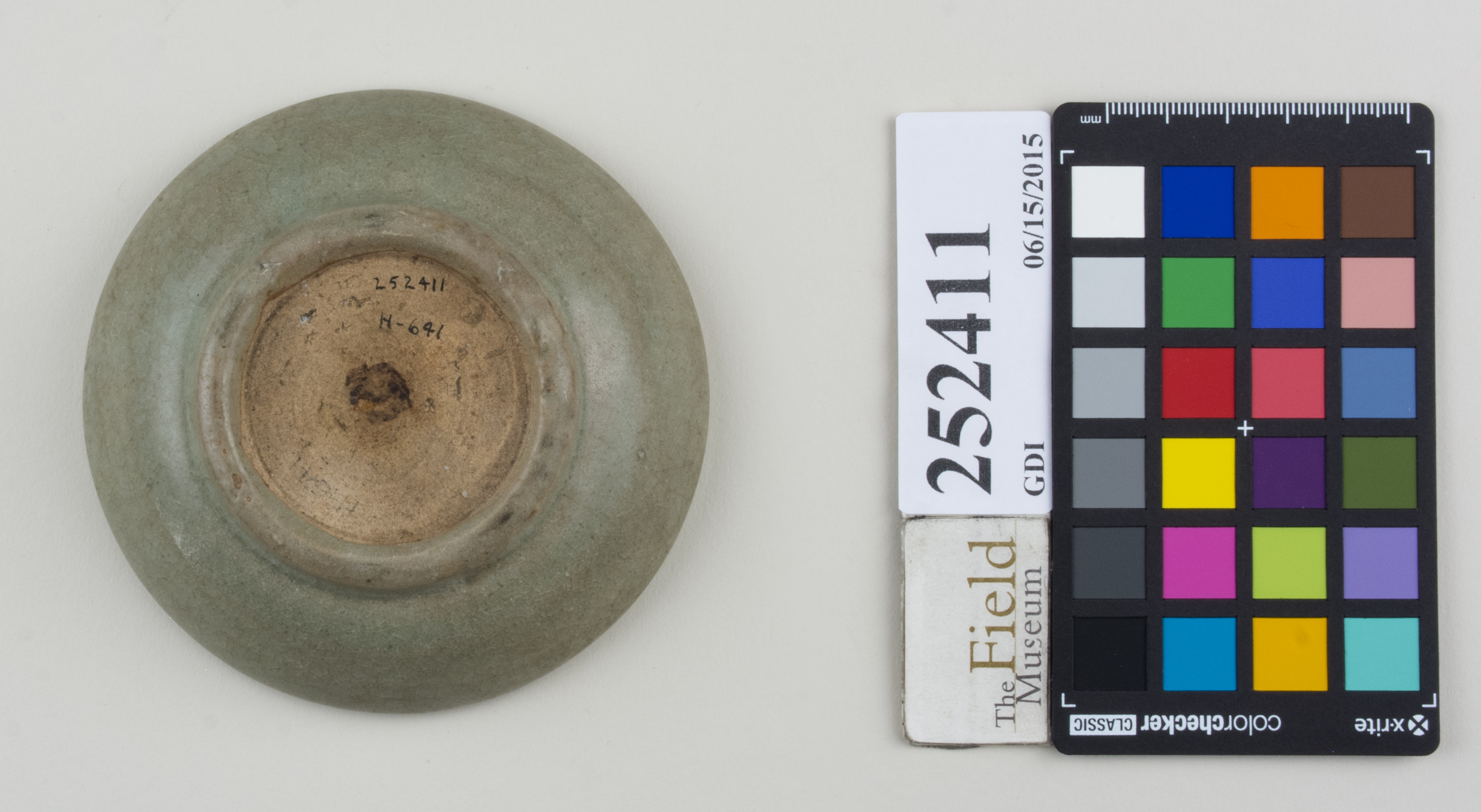 Bottom (c) Field Museum of Natural History - CC BY-NC 4.0