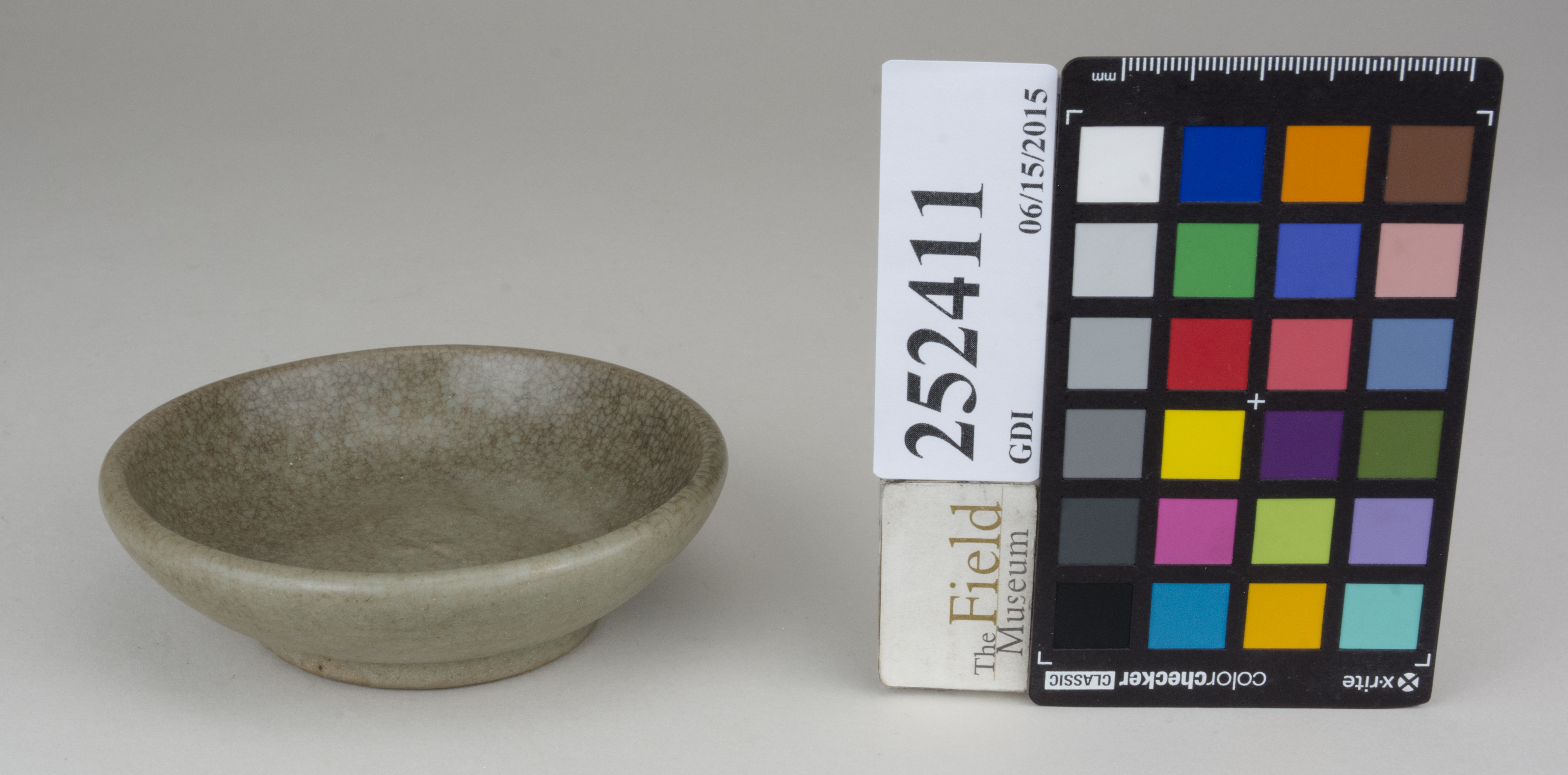 FrontAngle (c) Field Museum of Natural History - CC BY-NC 4.0