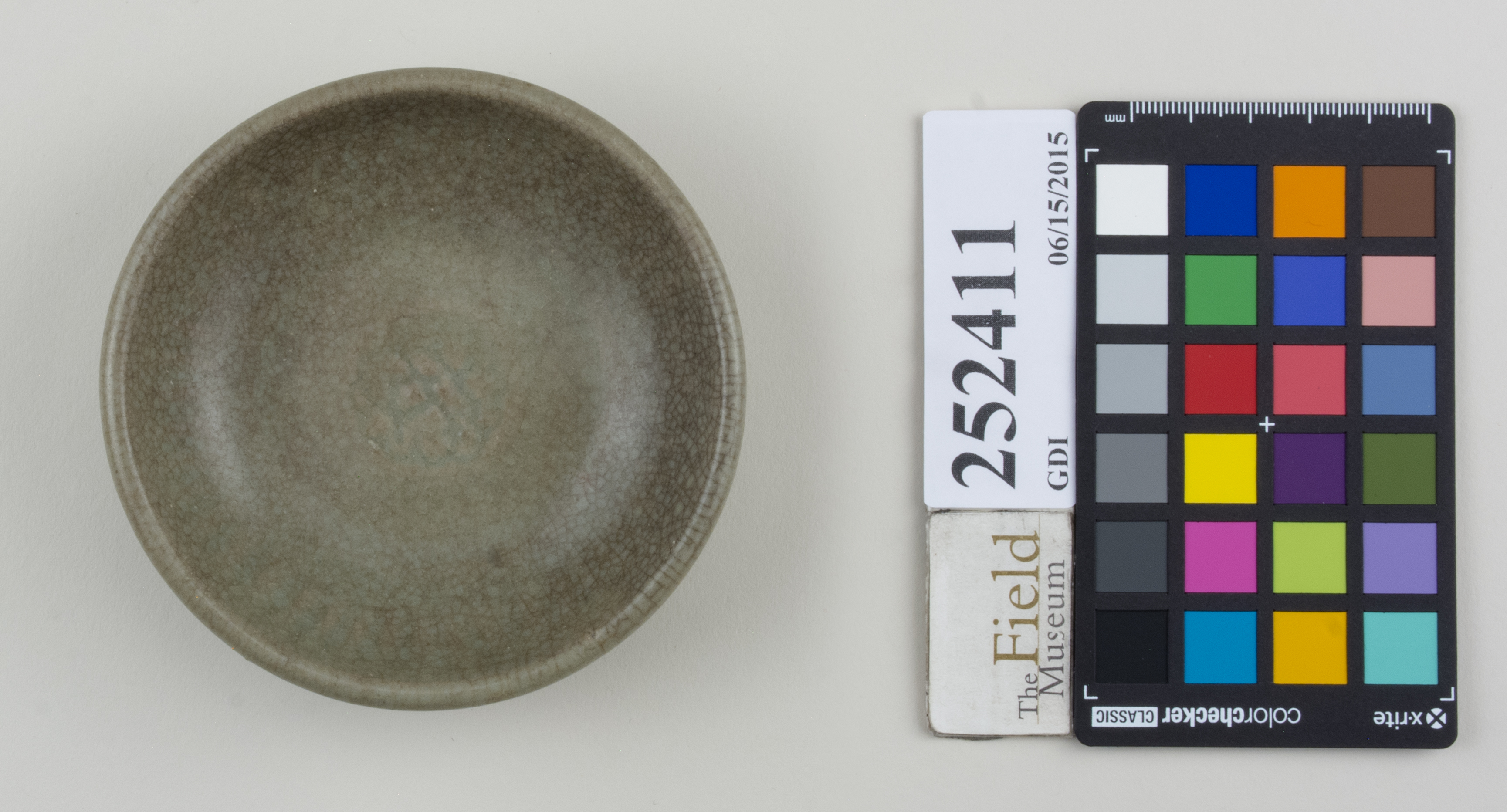 Top (c) Field Museum of Natural History - CC BY-NC 4.0