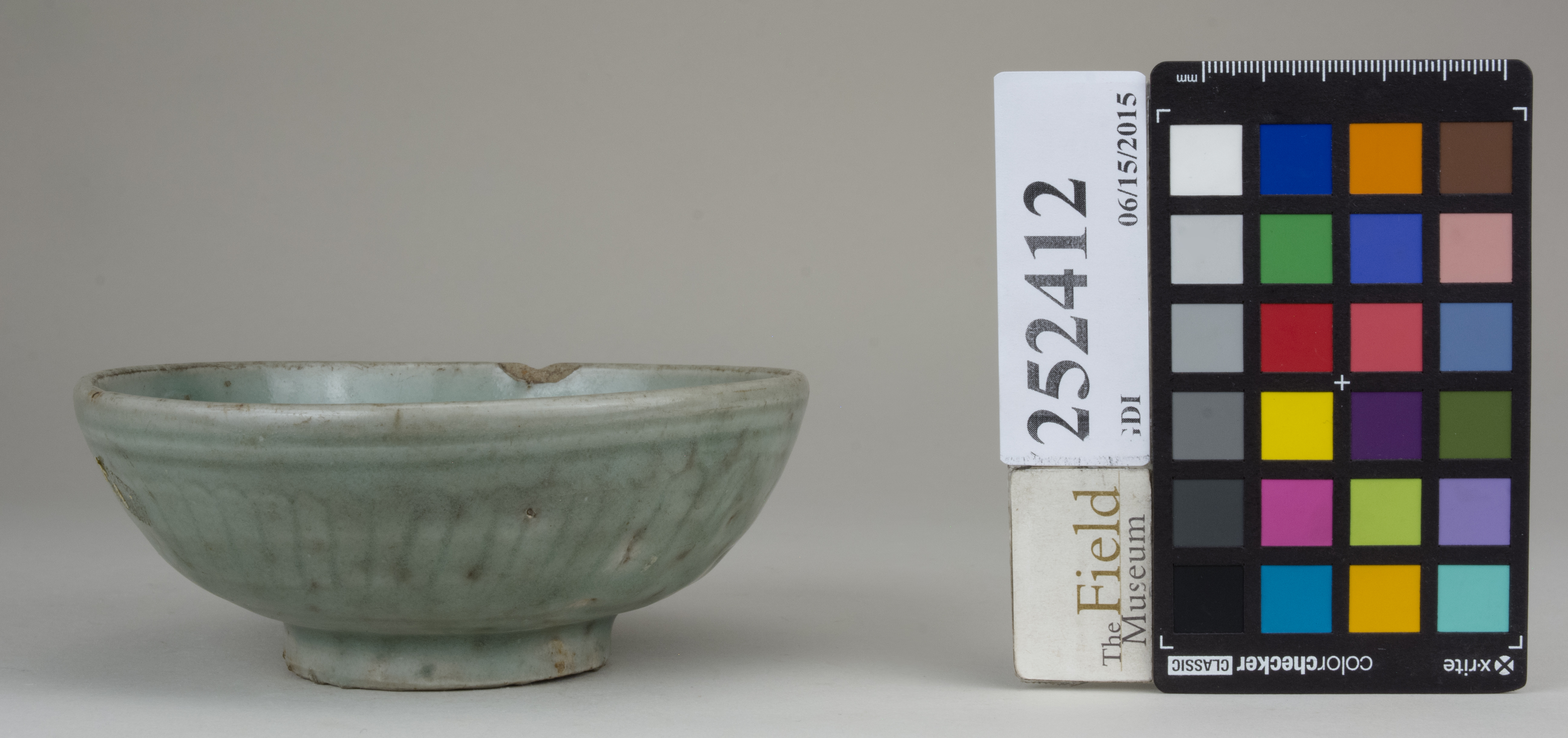 reference image, back (c) Field Museum of Natural History - CC BY-NC 4.0