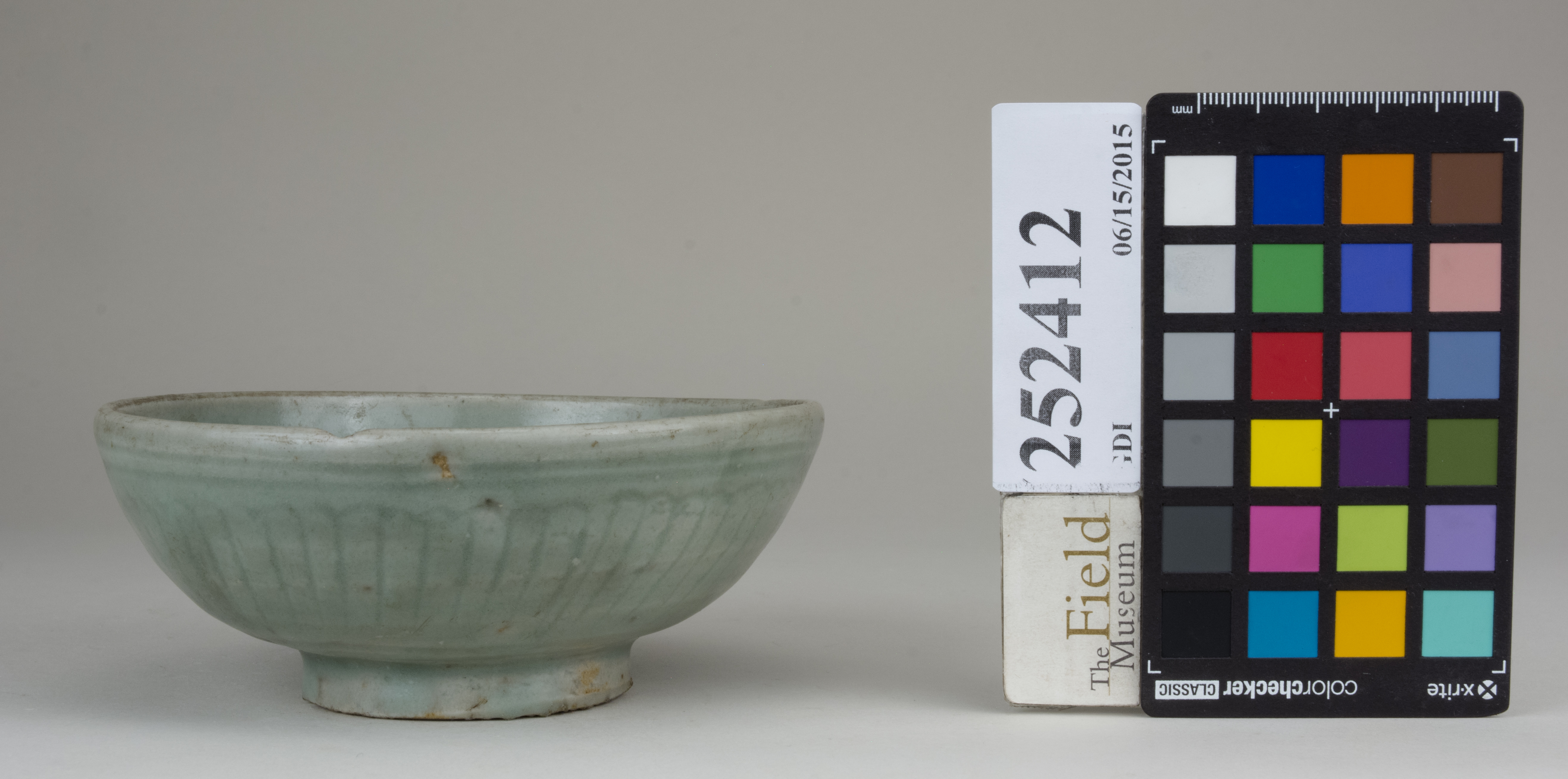 Front (c) Field Museum of Natural History - CC BY-NC 4.0