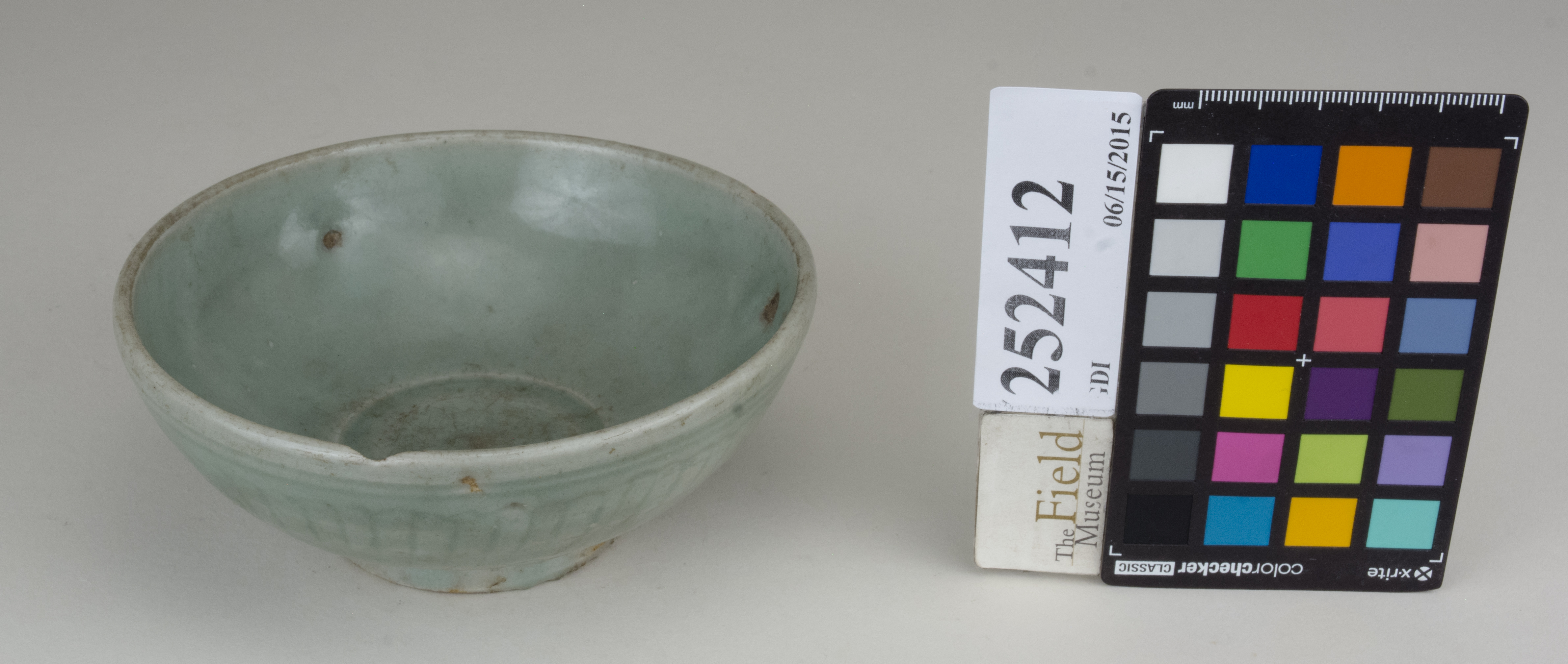 FrontAngle (c) Field Museum of Natural History - CC BY-NC 4.0