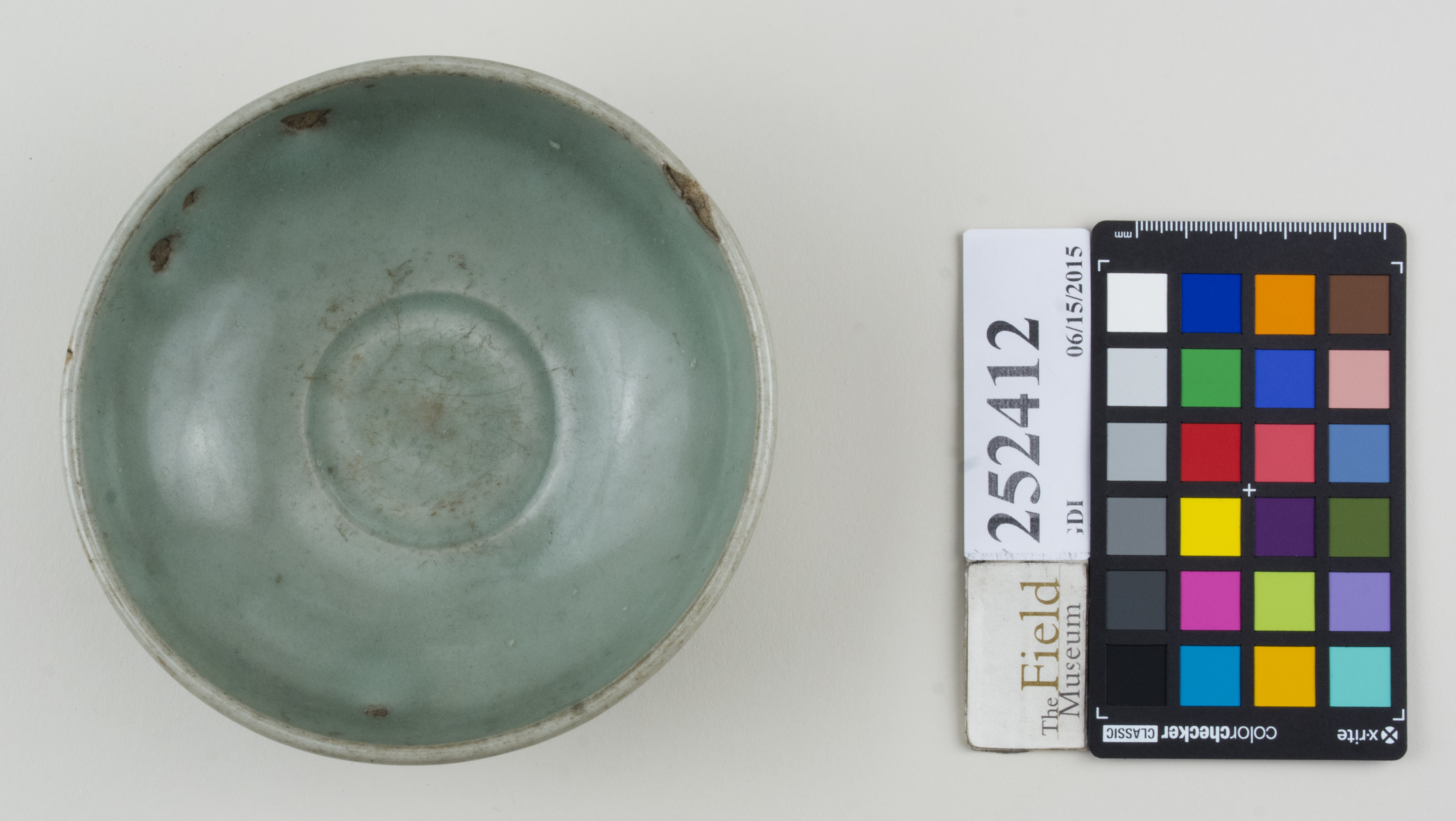 Top (c) Field Museum of Natural History - CC BY-NC 4.0