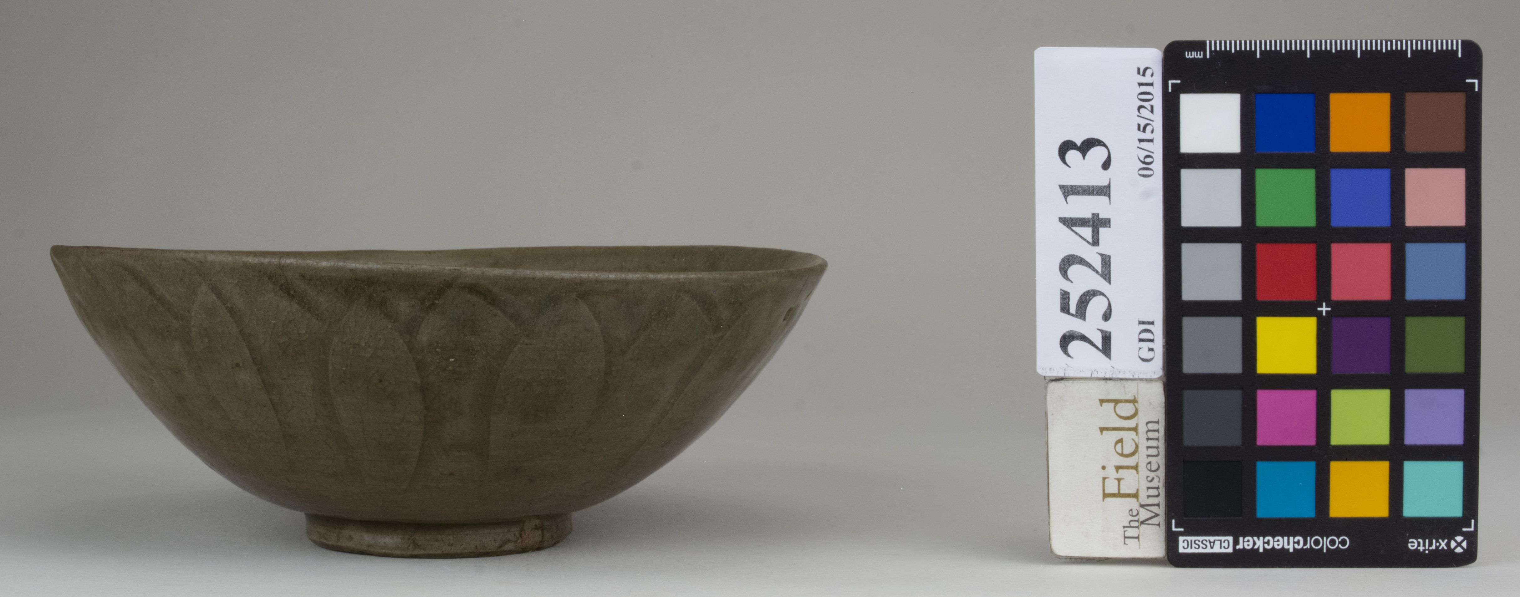 reference image, back (c) Field Museum of Natural History - CC BY-NC 4.0