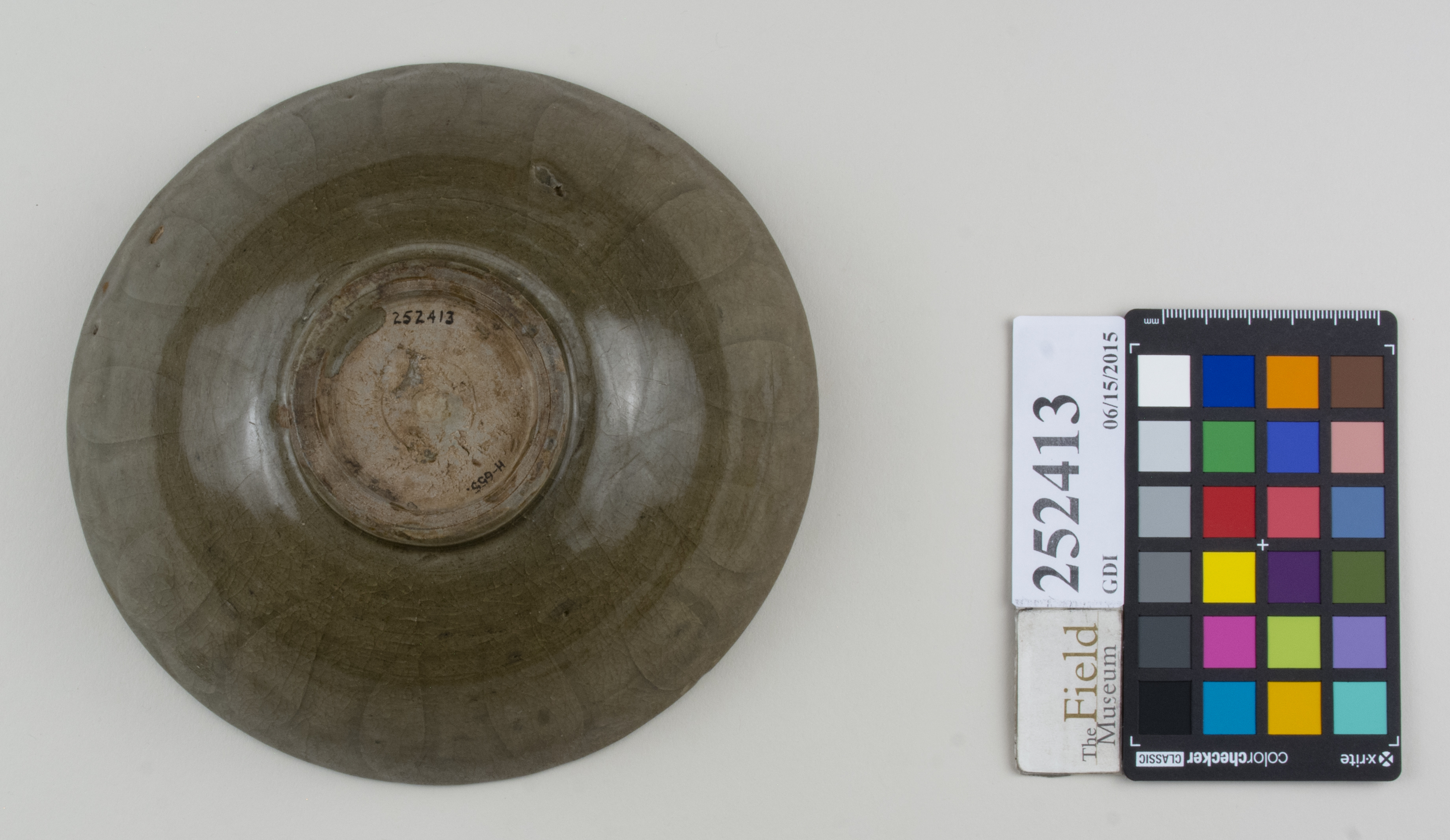 Bottom (c) Field Museum of Natural History - CC BY-NC 4.0