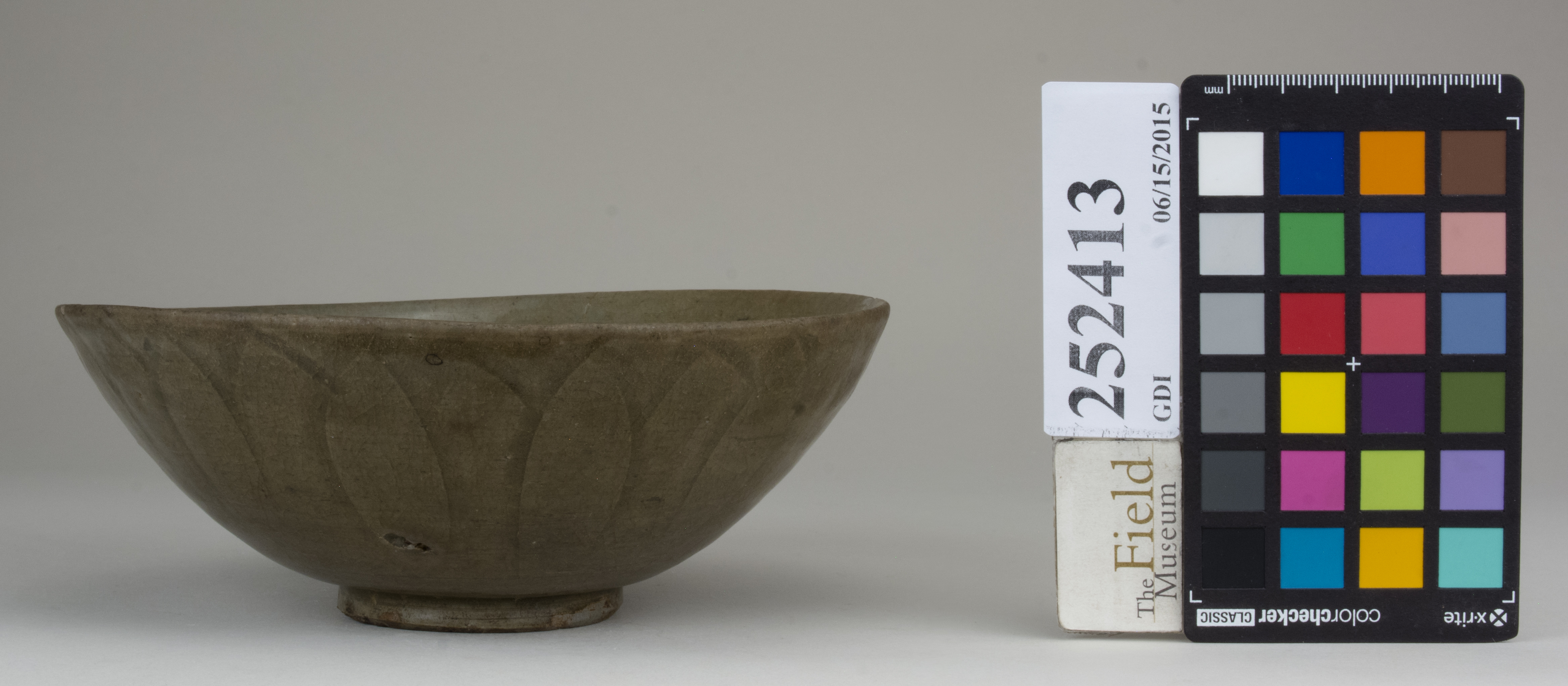 Front (c) Field Museum of Natural History - CC BY-NC 4.0