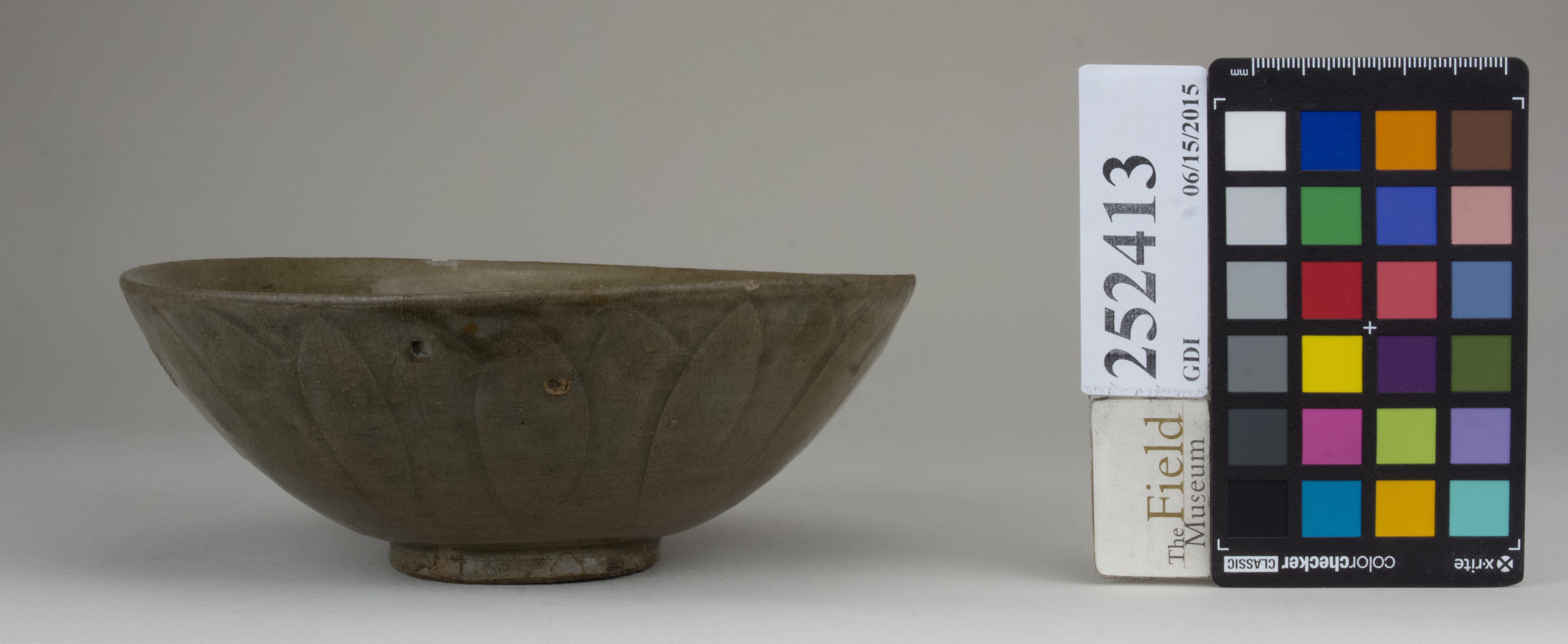 Right (c) Field Museum of Natural History - CC BY-NC 4.0