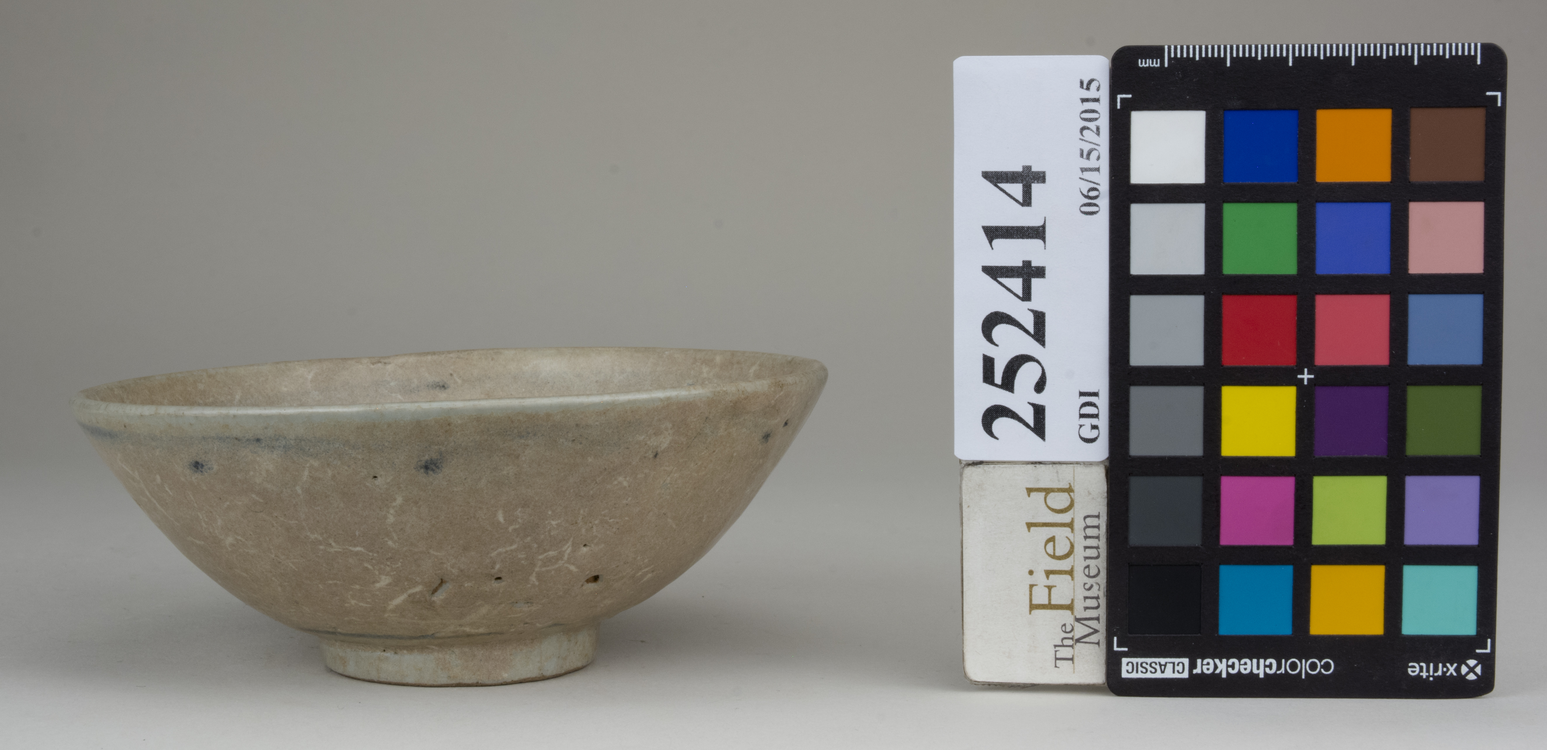 reference image, back (c) Field Museum of Natural History - CC BY-NC 4.0