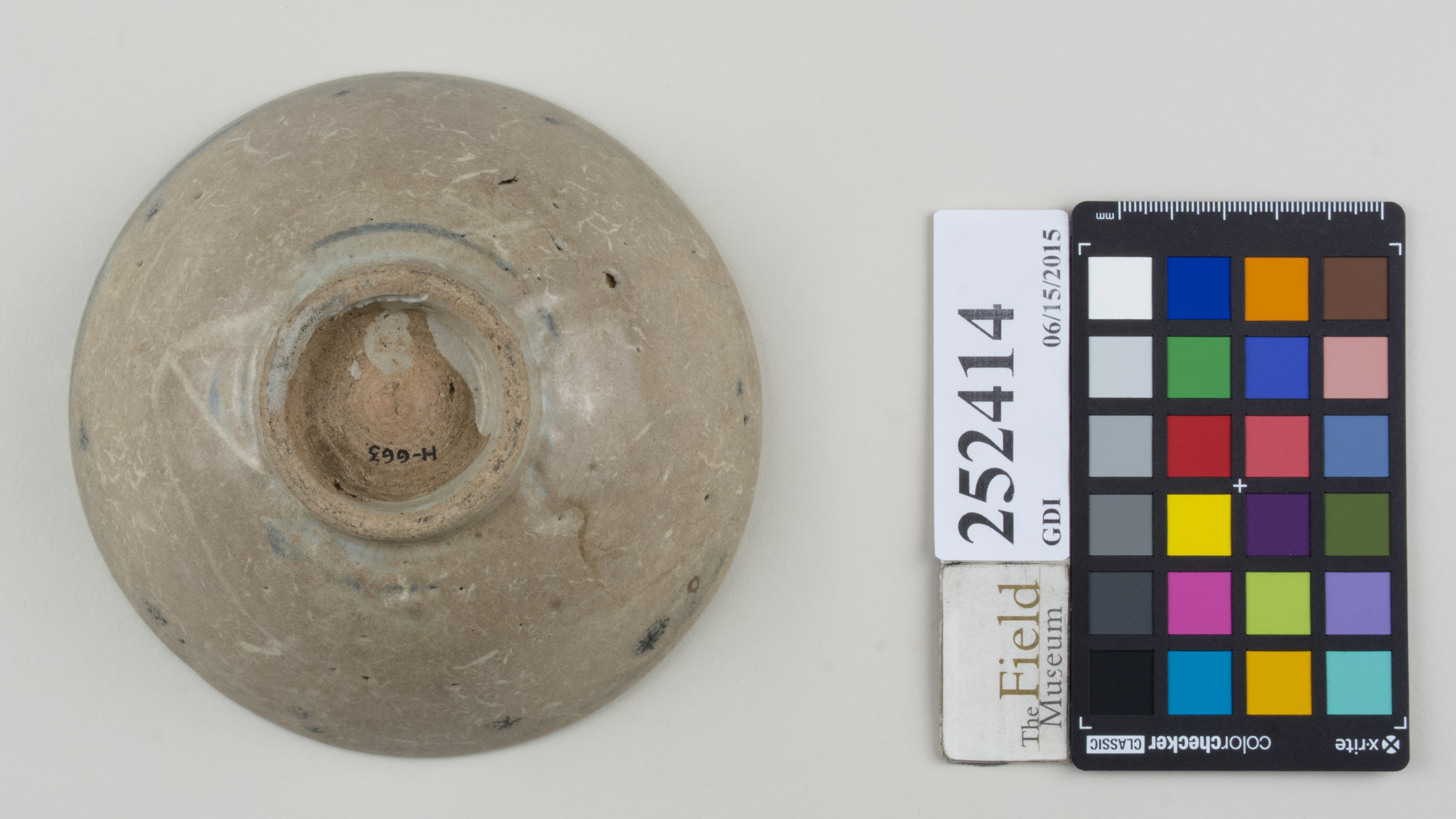 Bottom (c) Field Museum of Natural History - CC BY-NC 4.0