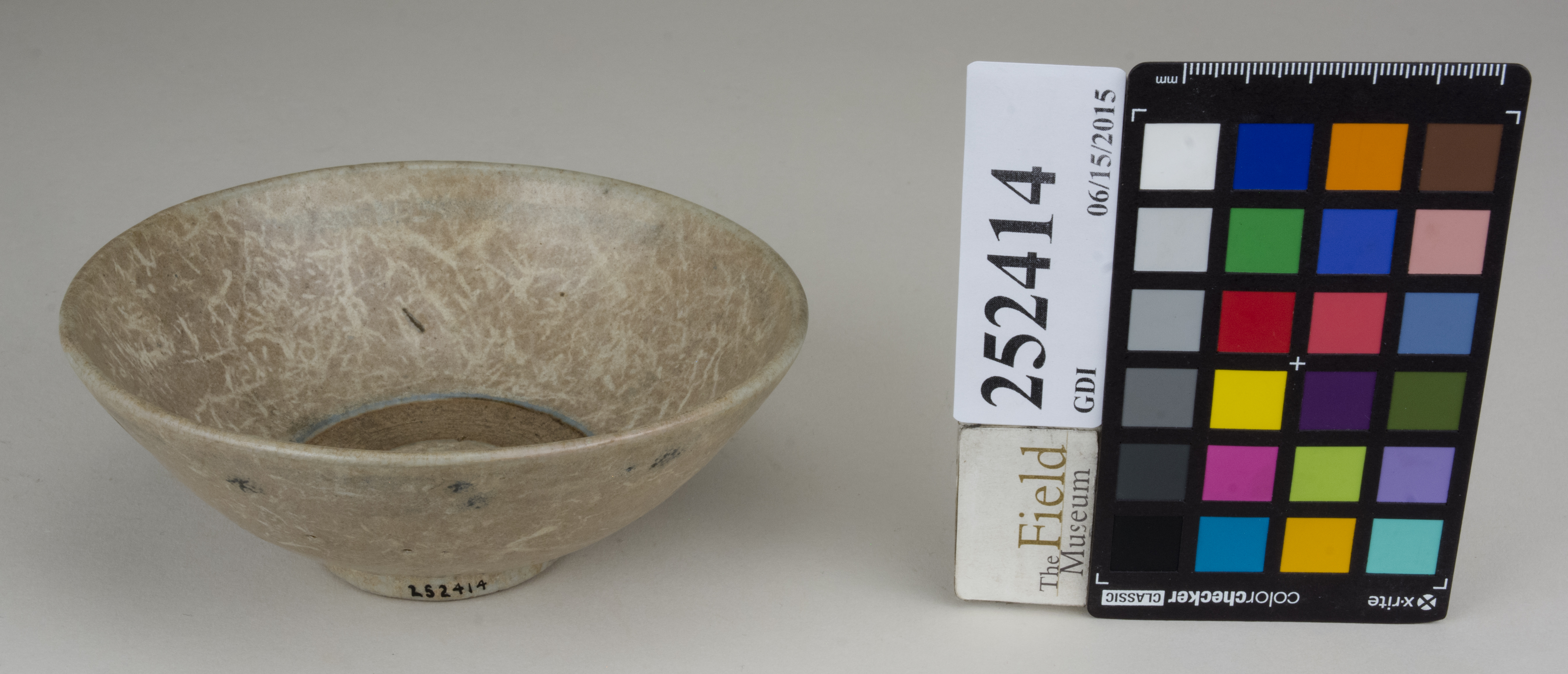 FrontAngle (c) Field Museum of Natural History - CC BY-NC 4.0