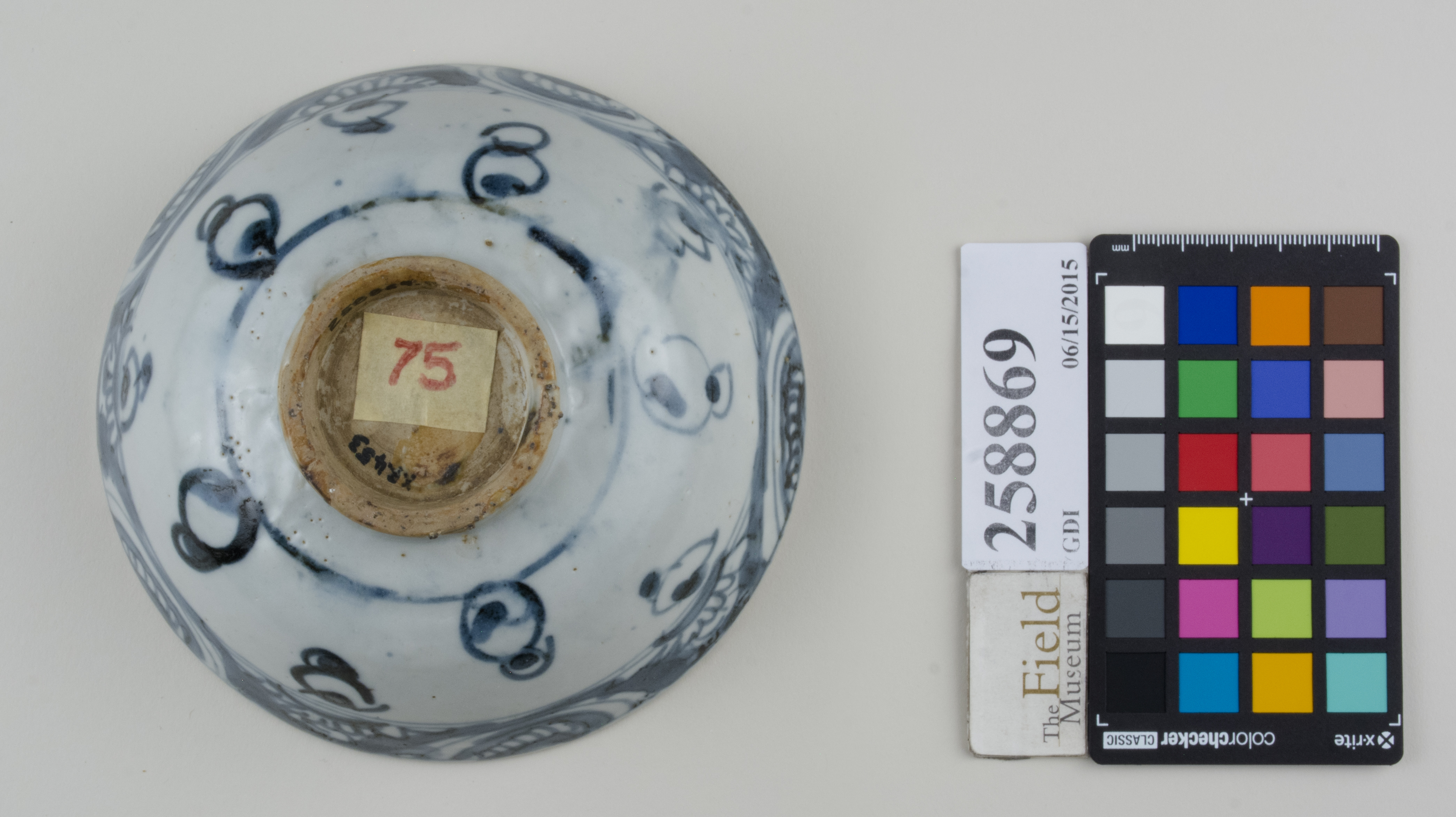 Bottom (c) Field Museum of Natural History - CC BY-NC 4.0