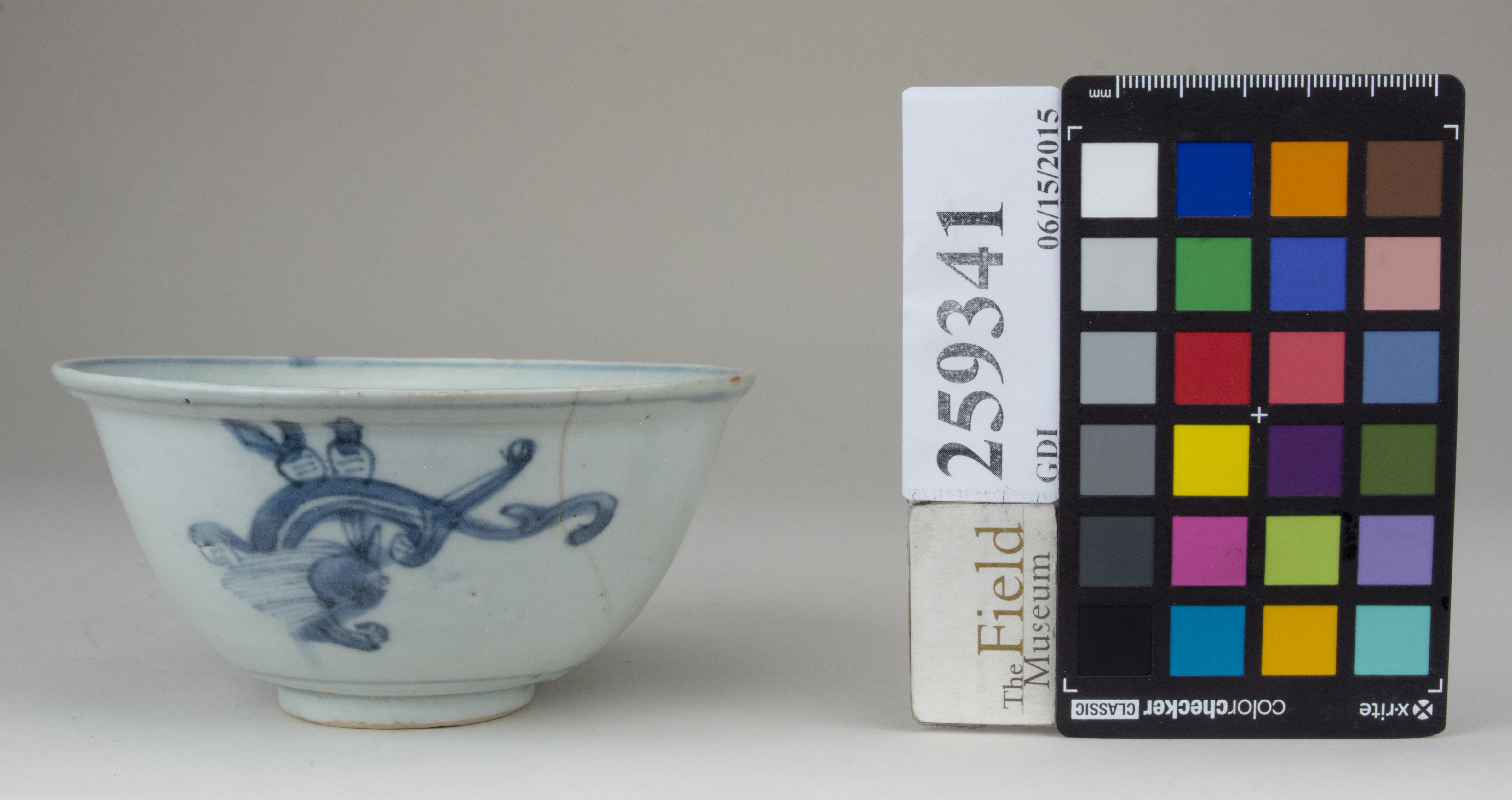 Front (c) Field Museum of Natural History - CC BY-NC 4.0