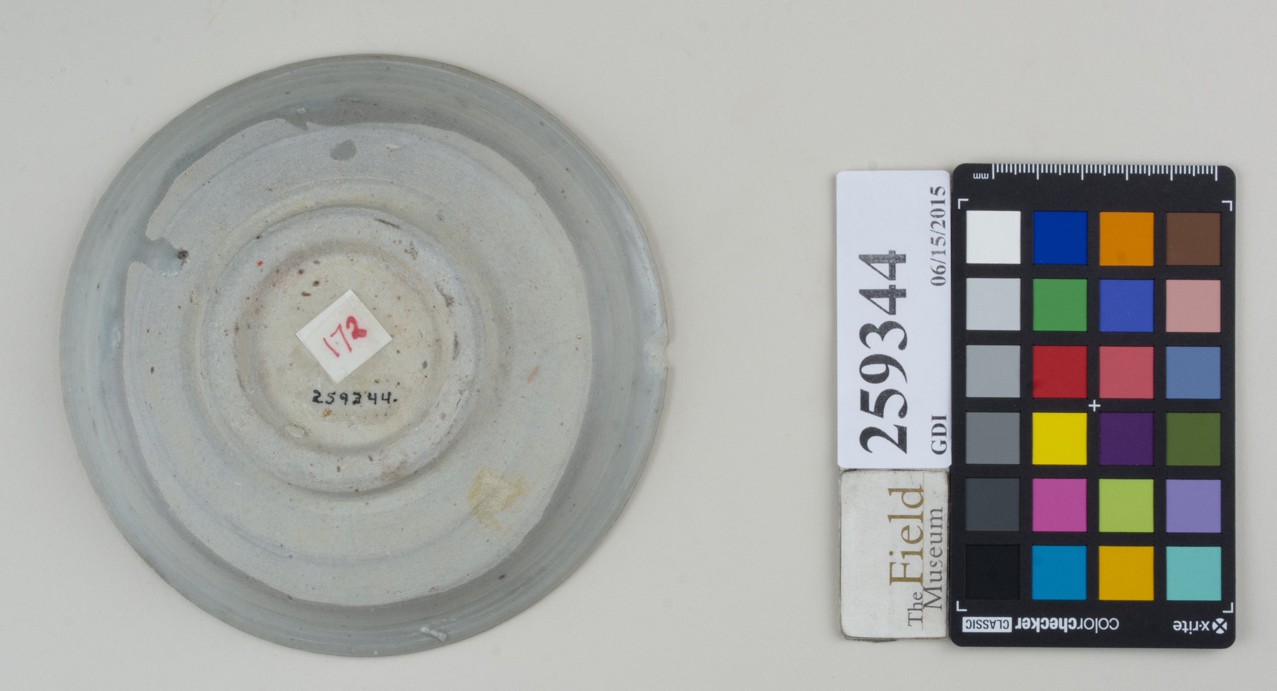 Bottom (c) Field Museum of Natural History - CC BY-NC 4.0